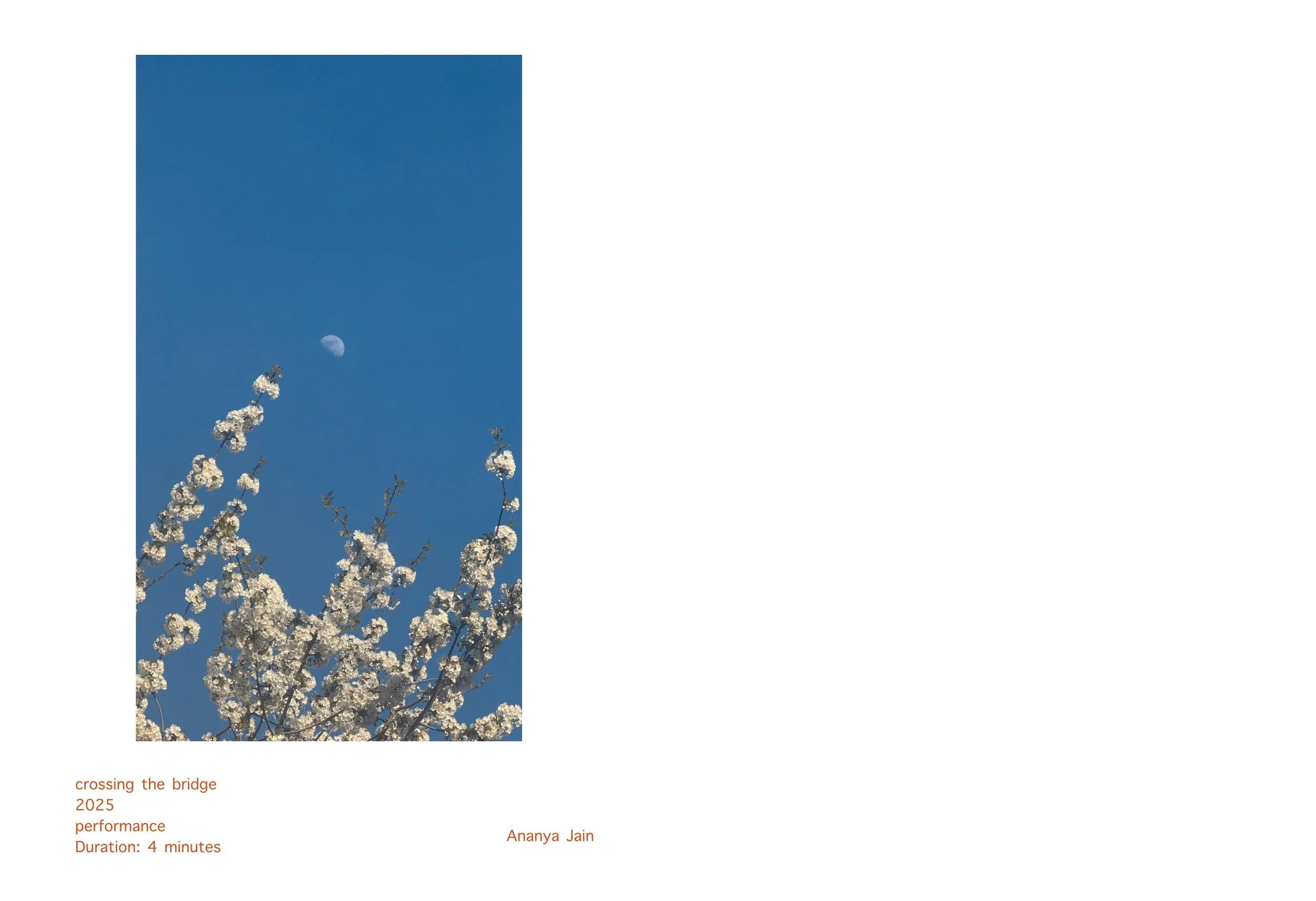 TOSS - catalogue - pages_11.jpg