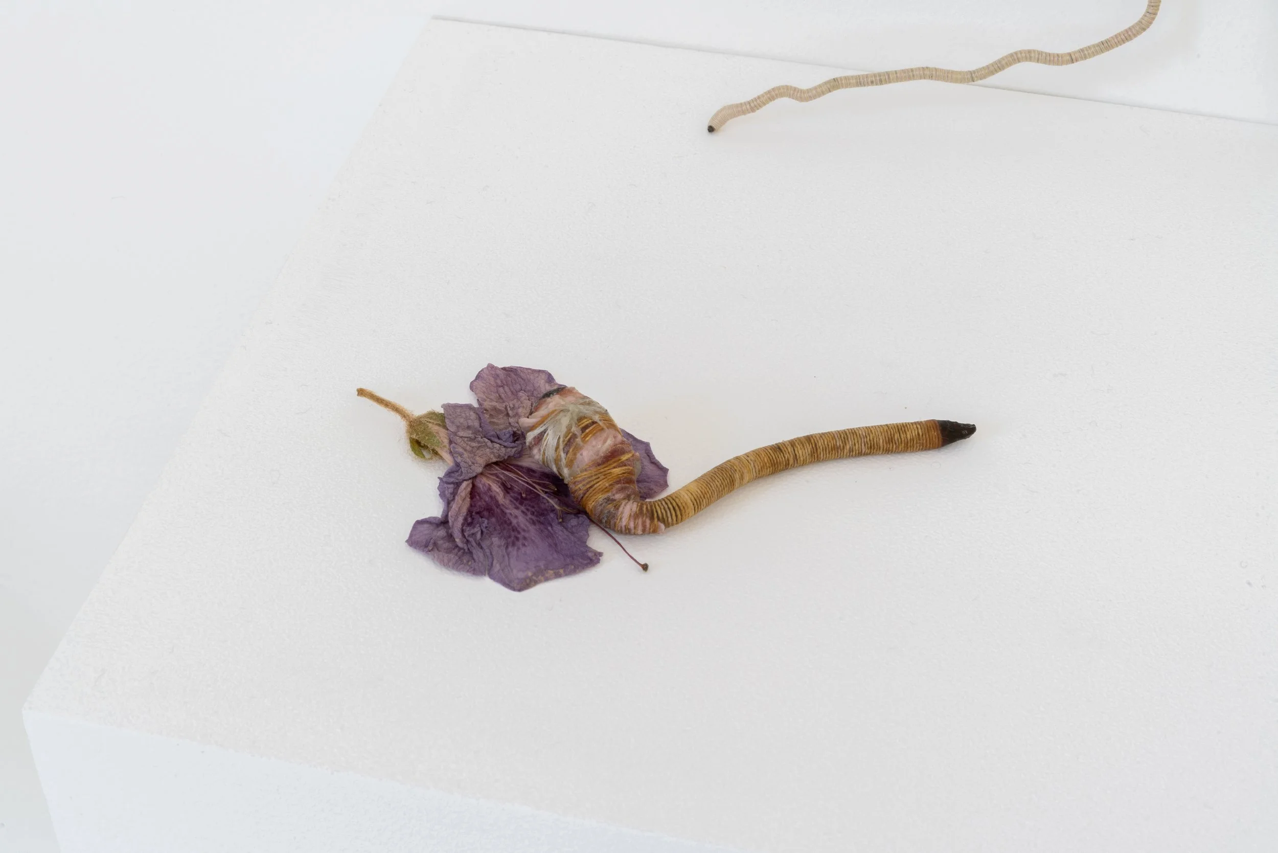 13-DSC03589.jpg