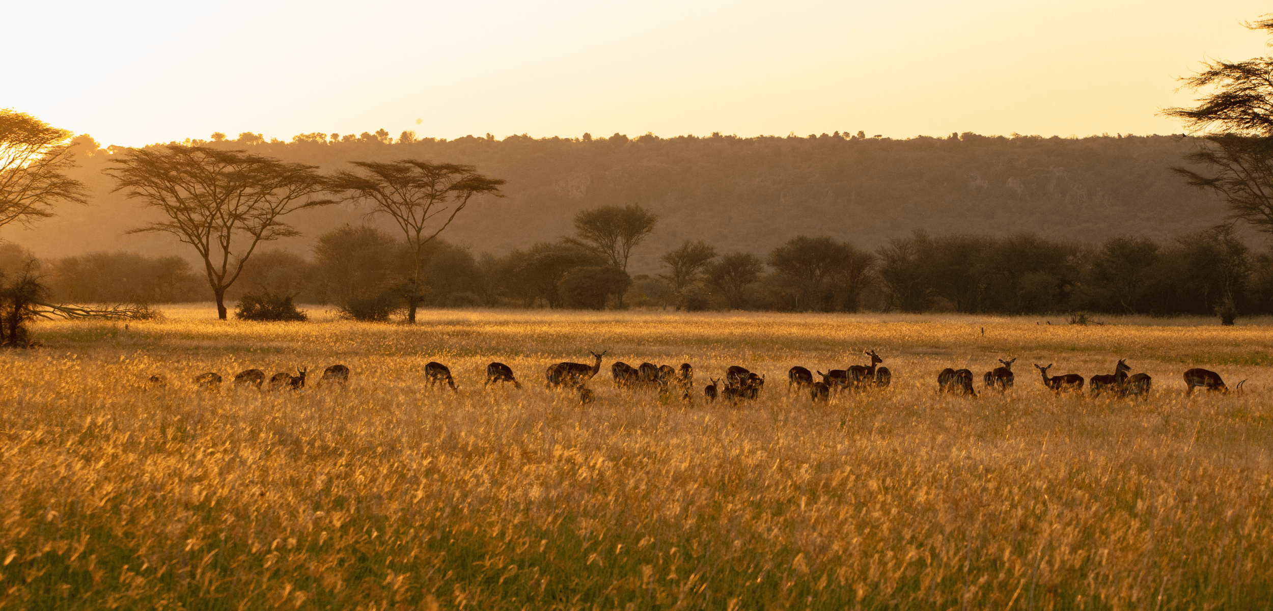 Suyian Conservancy Receives Outstanding Rating in Protected Area Management Performance by International Agency