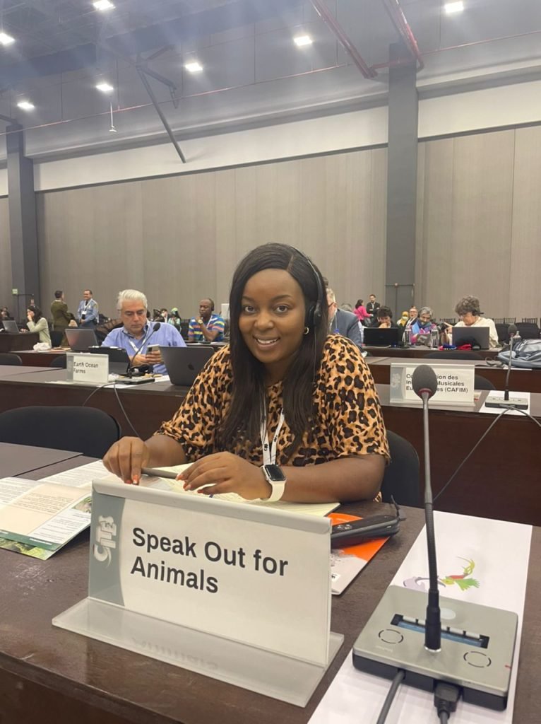 Woman-led legal organisation fights for animal rights in Zimbabwe — Space  for Giants