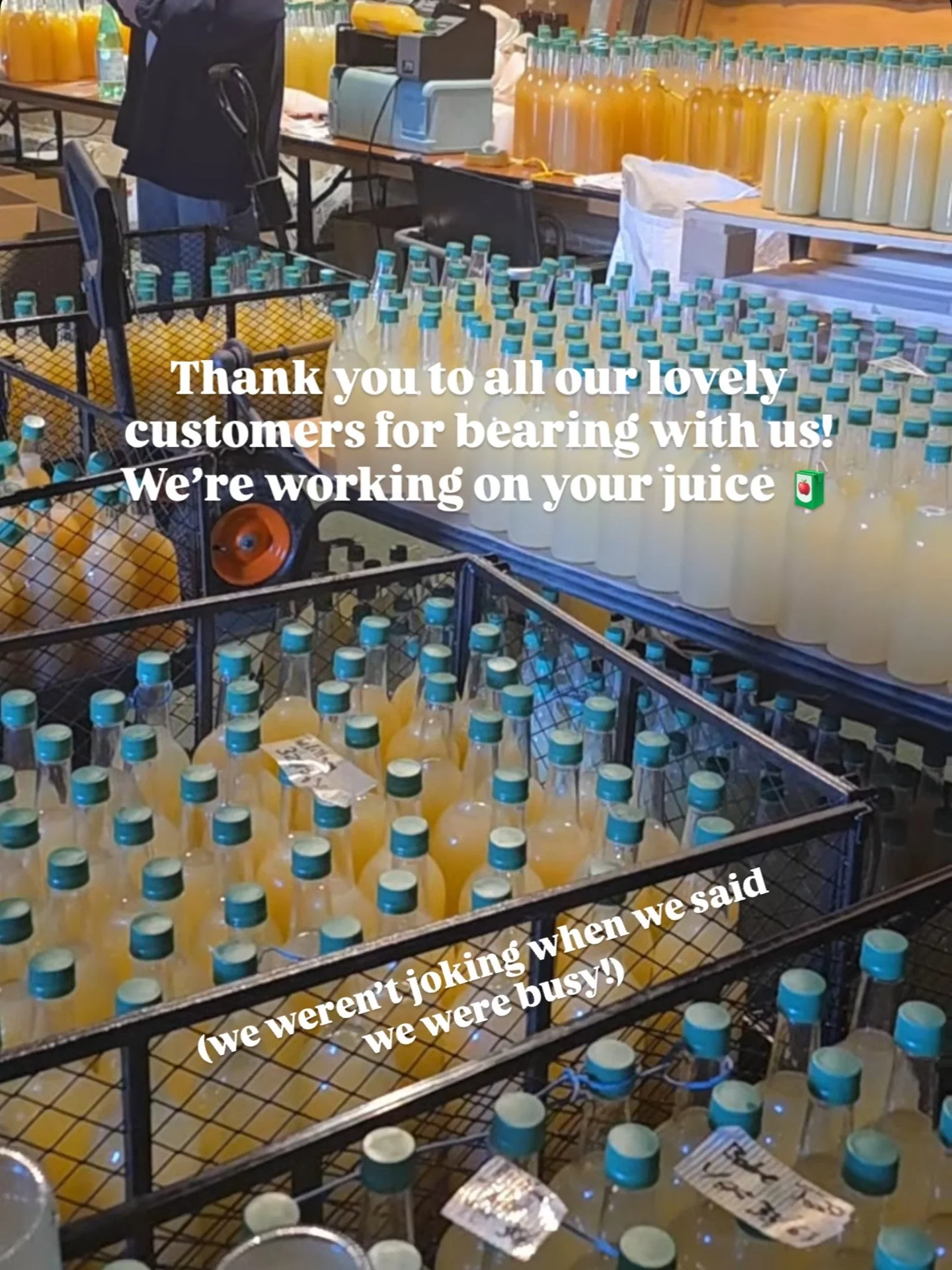 The apples are clearing, and we hope to go back to our usual drop off system soon, but please do bear with us a little longer, and email manager@kimptonapplepress.co.uk to book a drop off day 💚
Thank you all!! And happy harvesting 🍎 #applepress #bu