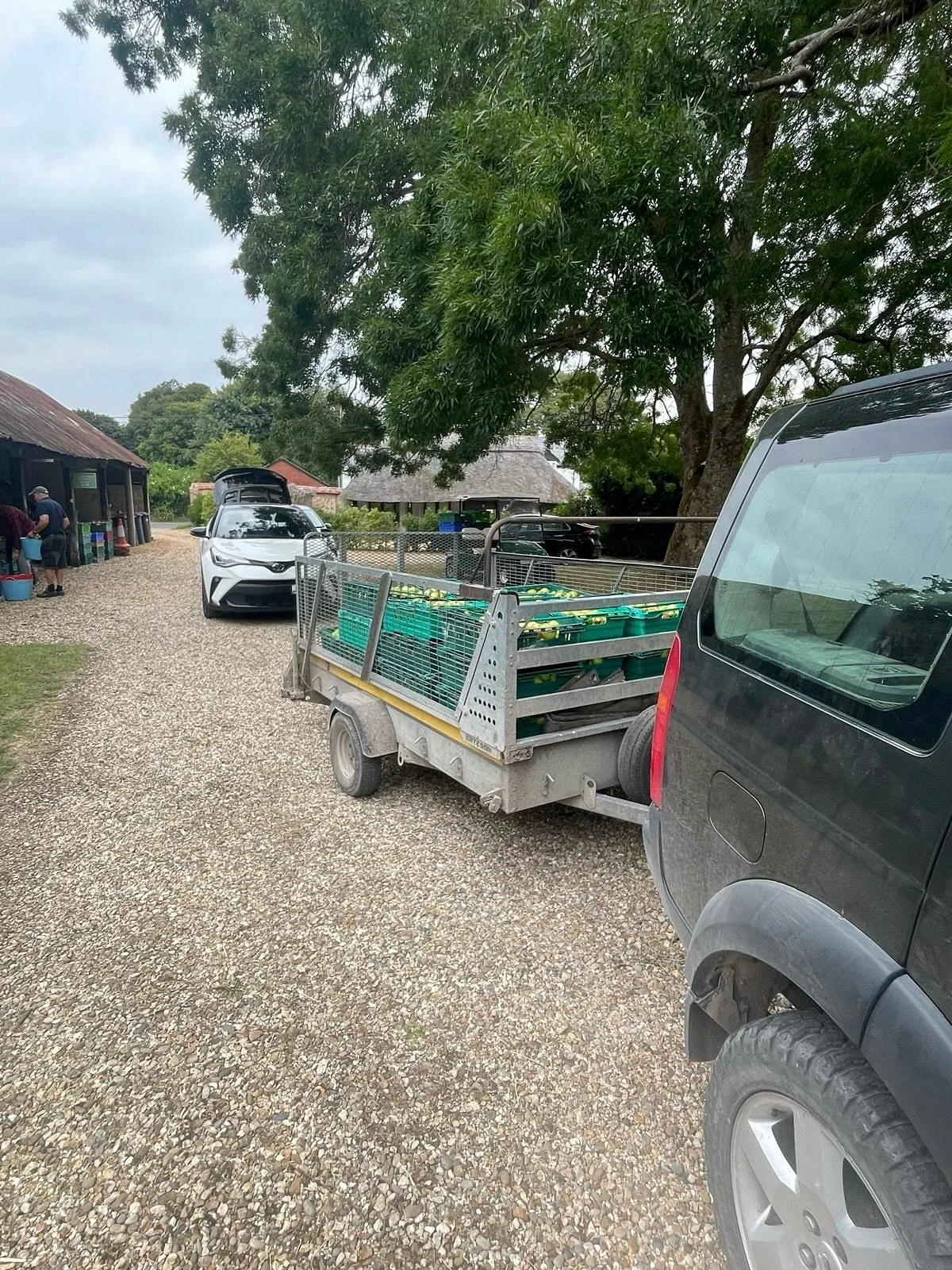 Today&rsquo;s rush hour ~ 37 crates from a local farm! Fantastic use of local apples, they&rsquo;ll be ready to last all year as tasty juice soon 💚🧃 
We&rsquo;ll be ready for more any time! #apples #delivery #rushhour #orchard #localfarm #supportlo