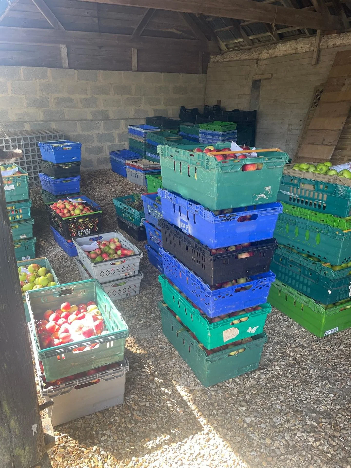 We&rsquo;re BACK for 2025, bring your apples and pears 🍎🍐 to us for pressing into delicious juice! See our website for details #localbusiness #applepress #freshjuice #family #britishsummer #churchwardens #awardwinning