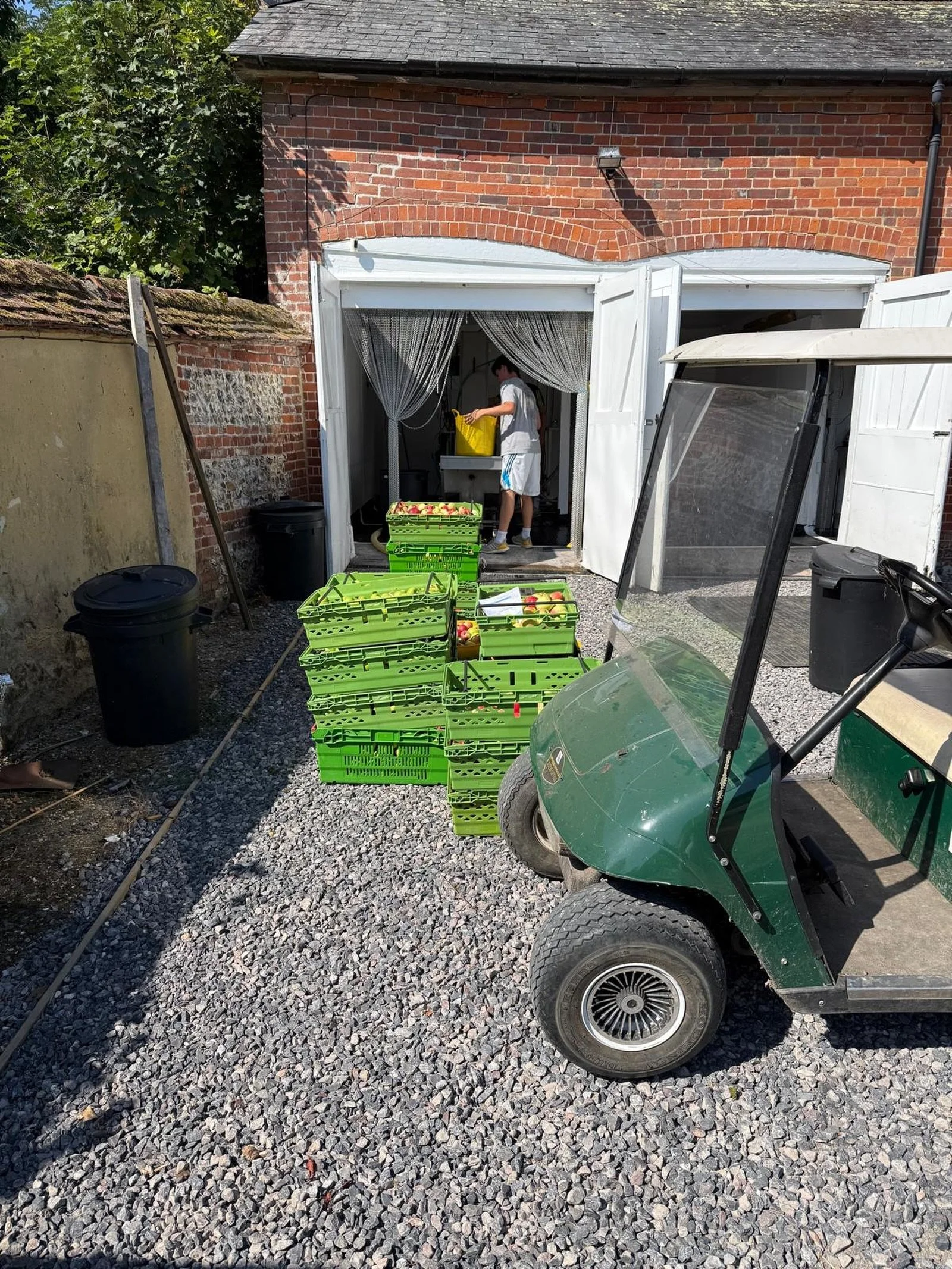 We&rsquo;re all up and running now, with loads of delicious apples coming in. Amazing how so much fruit has survived in these heatwaves and dry weather, so we are thrilled to see every crate. 
Drop yours in the open sided barn today 🥰
#applejuice #p