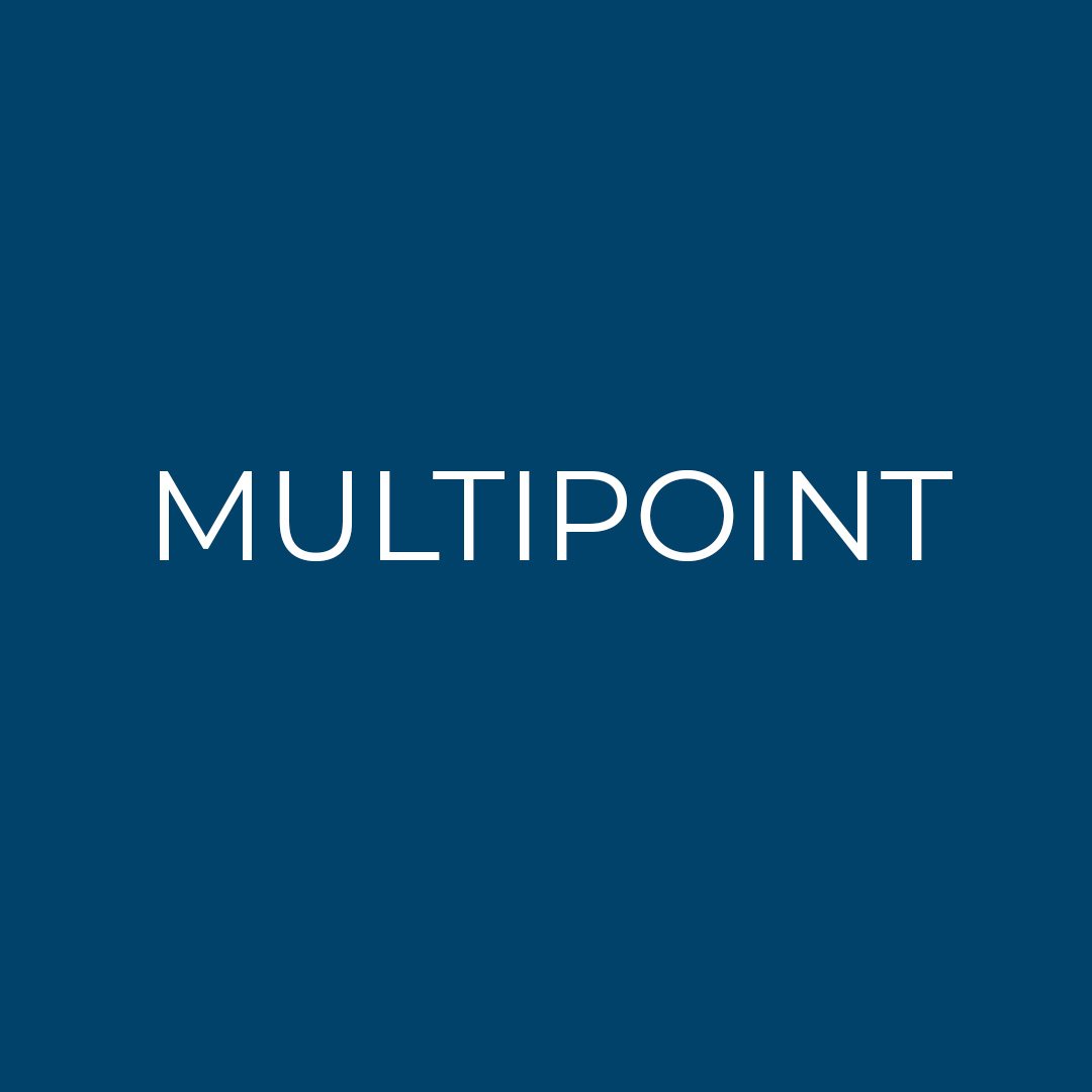 Multipoint.jpg