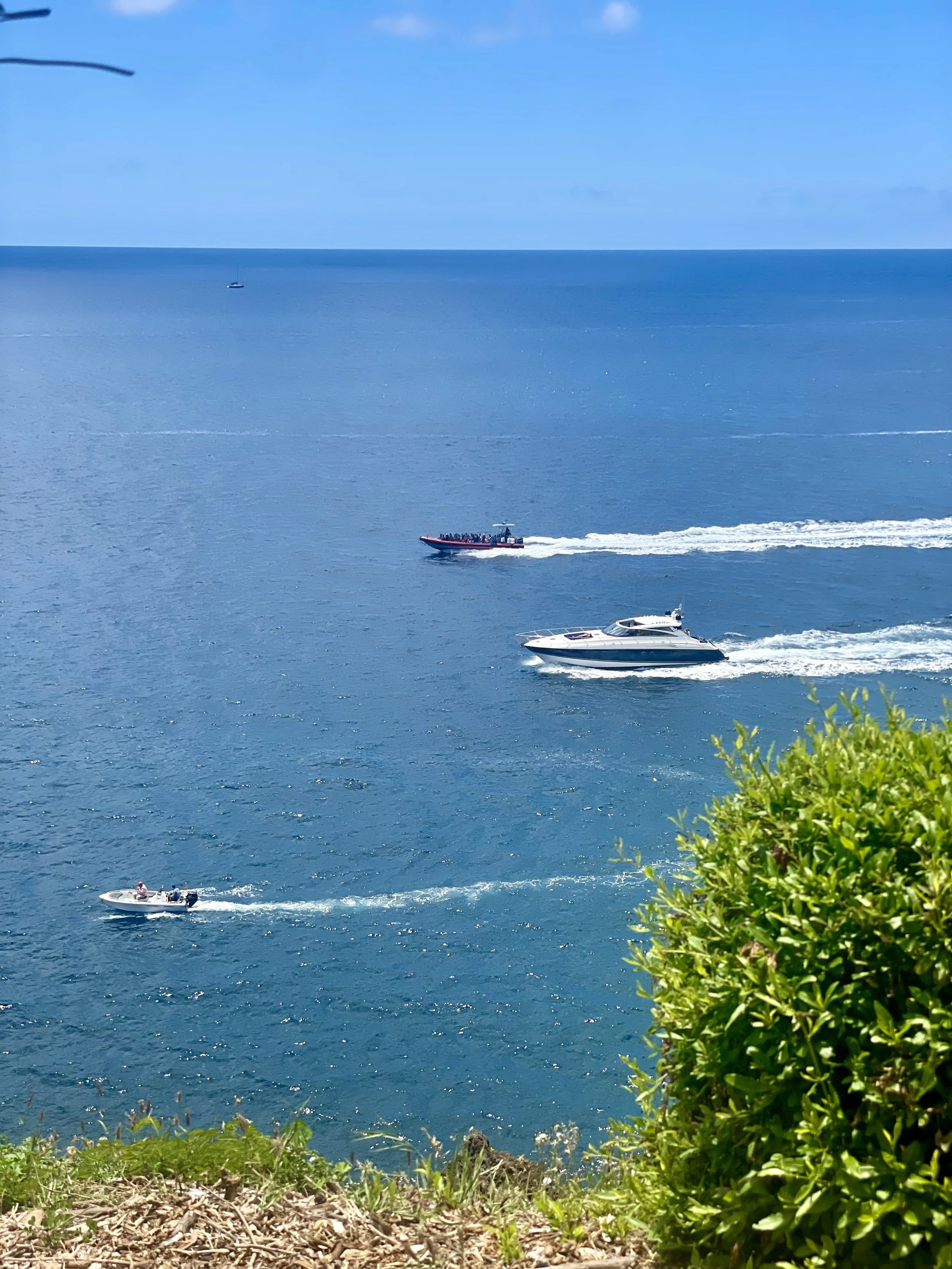 A view of the ocean with four boats cruising through the water and a small sailboat far in the distance under a partly cloudy sky, with some greenery and grass in the foreground.
