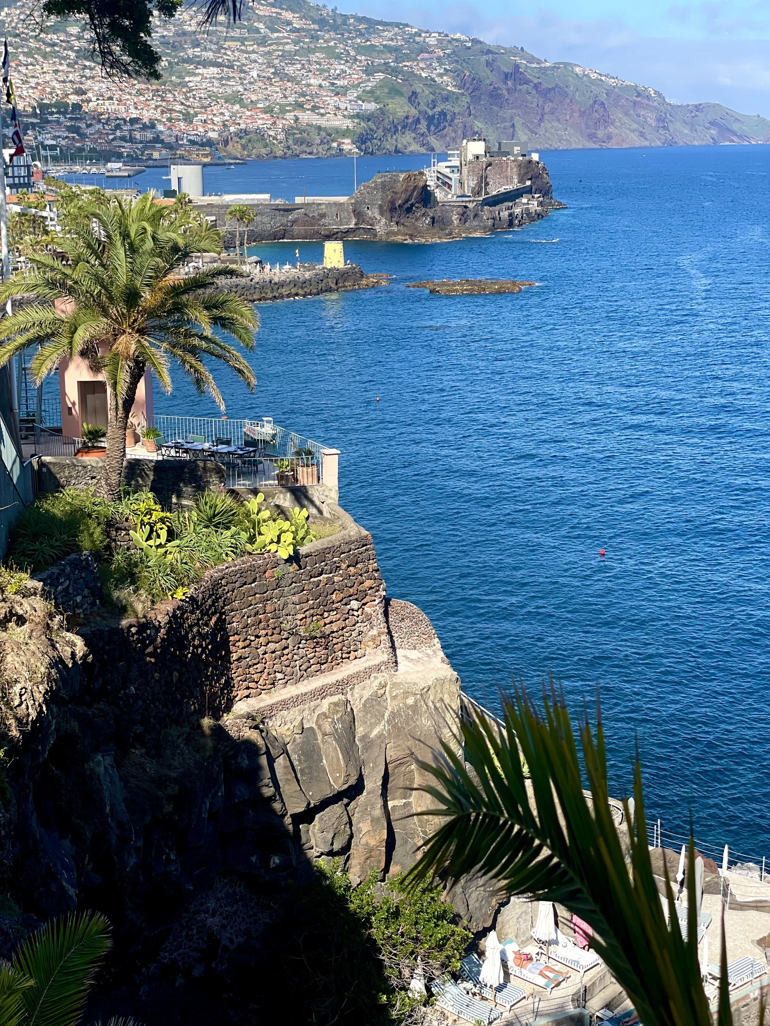 Cliffside terrace with palm trees and lounge chairs overlooking the ocean, with a harbor, rocky shoreline, and hillside town in the background.