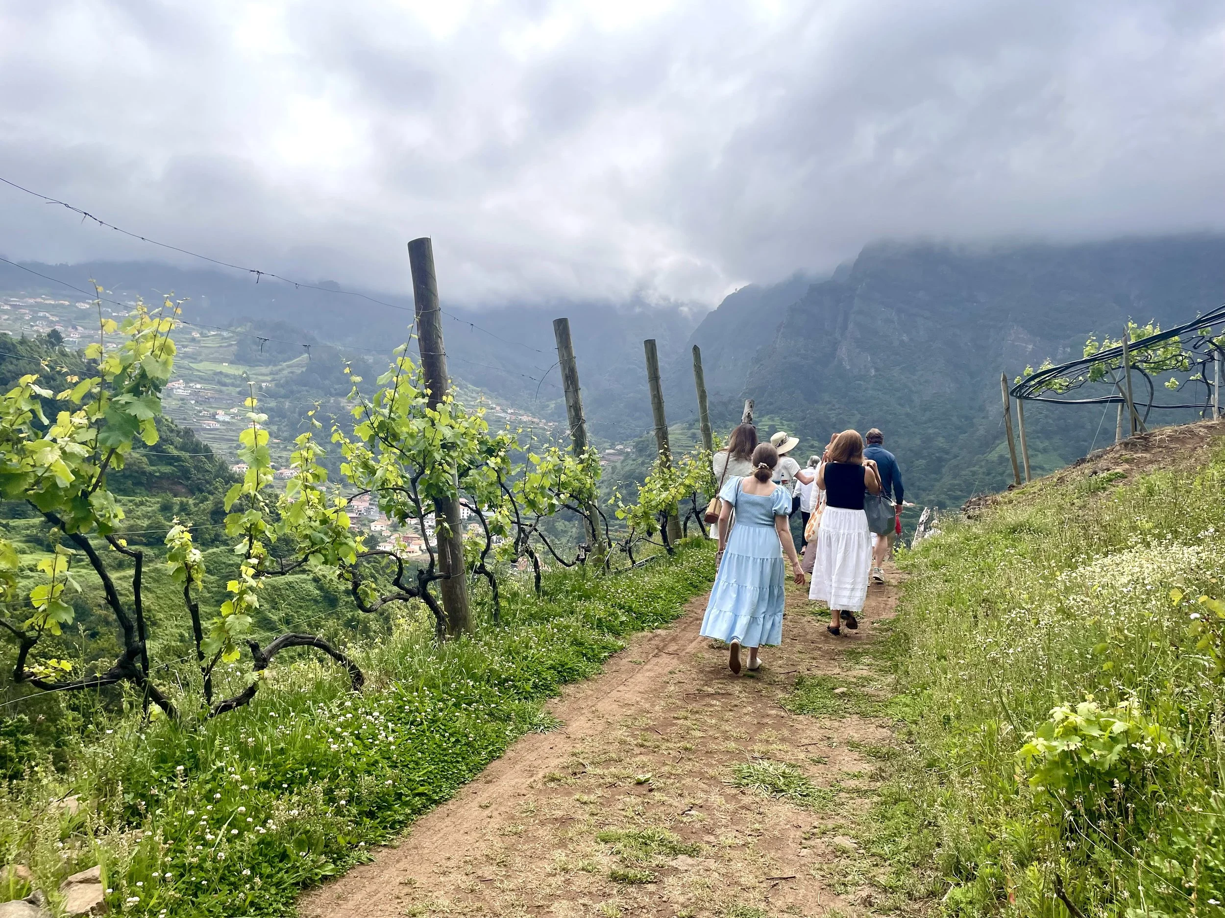 Group of women walking along a dirt path through a vineyard with green plants, overlooking a mountain landscape under cloudy sky.