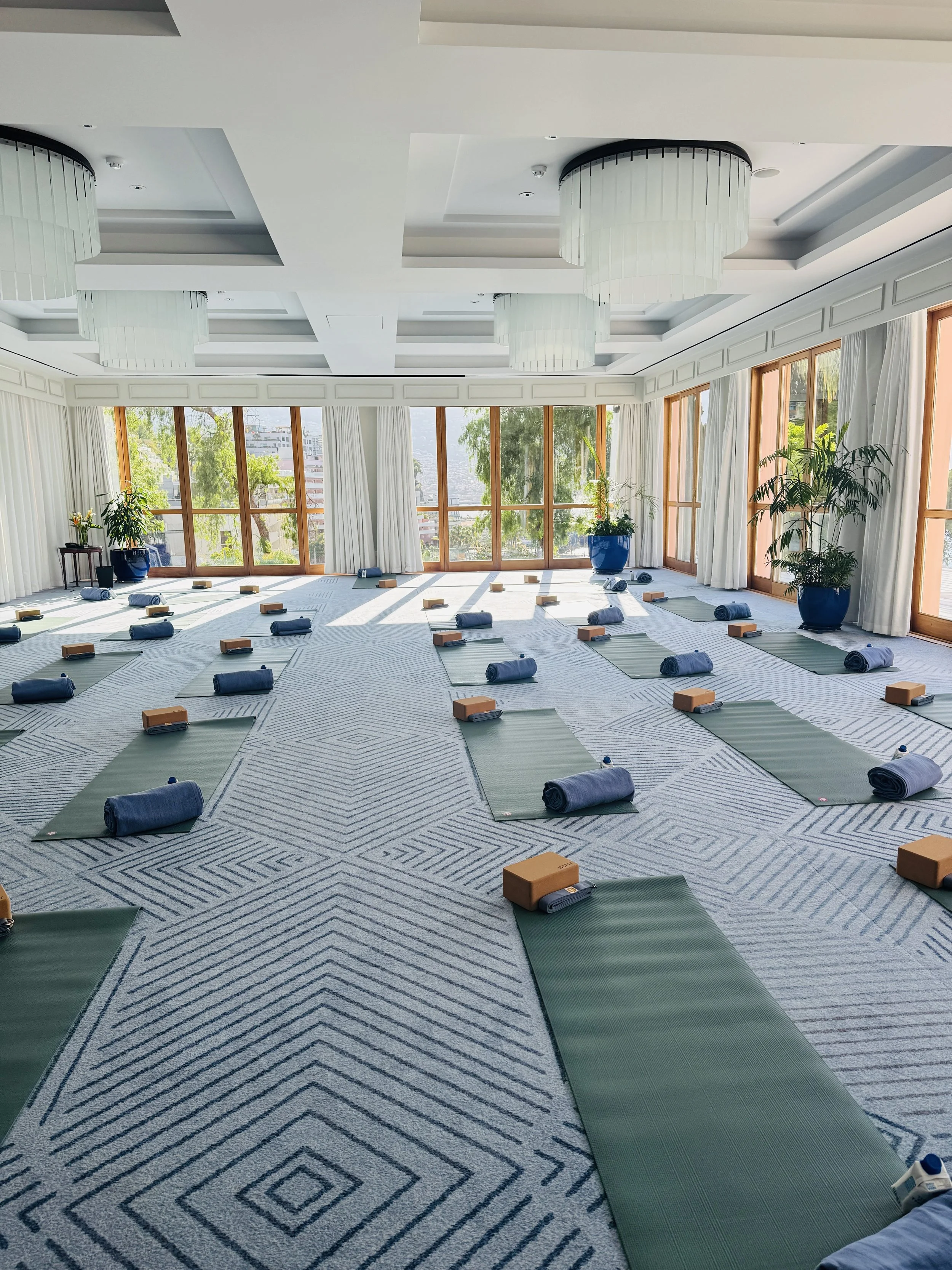 Indoor yoga room arranged with yoga mats, rolled towels, blocks, and water bottles, with large windows and potted plants.