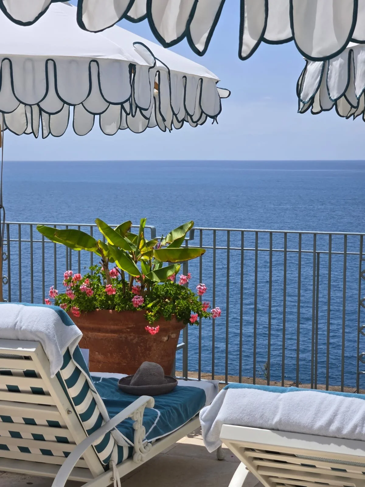 A balcony with two lounge chairs, a large potted plant with pink flowers and green leaves, and an ocean view under a partly cloudy sky.