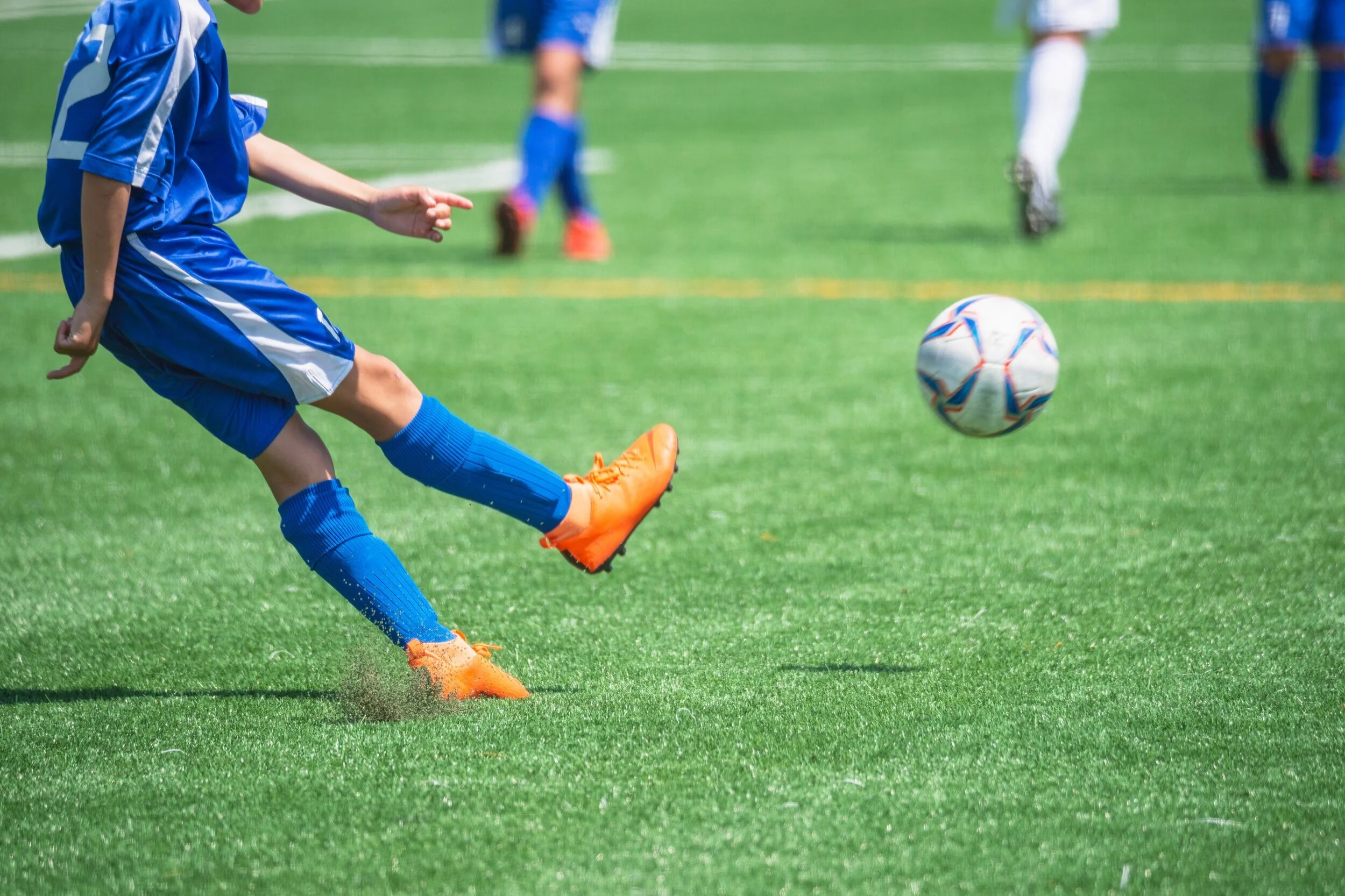 Stampede Sports Arena