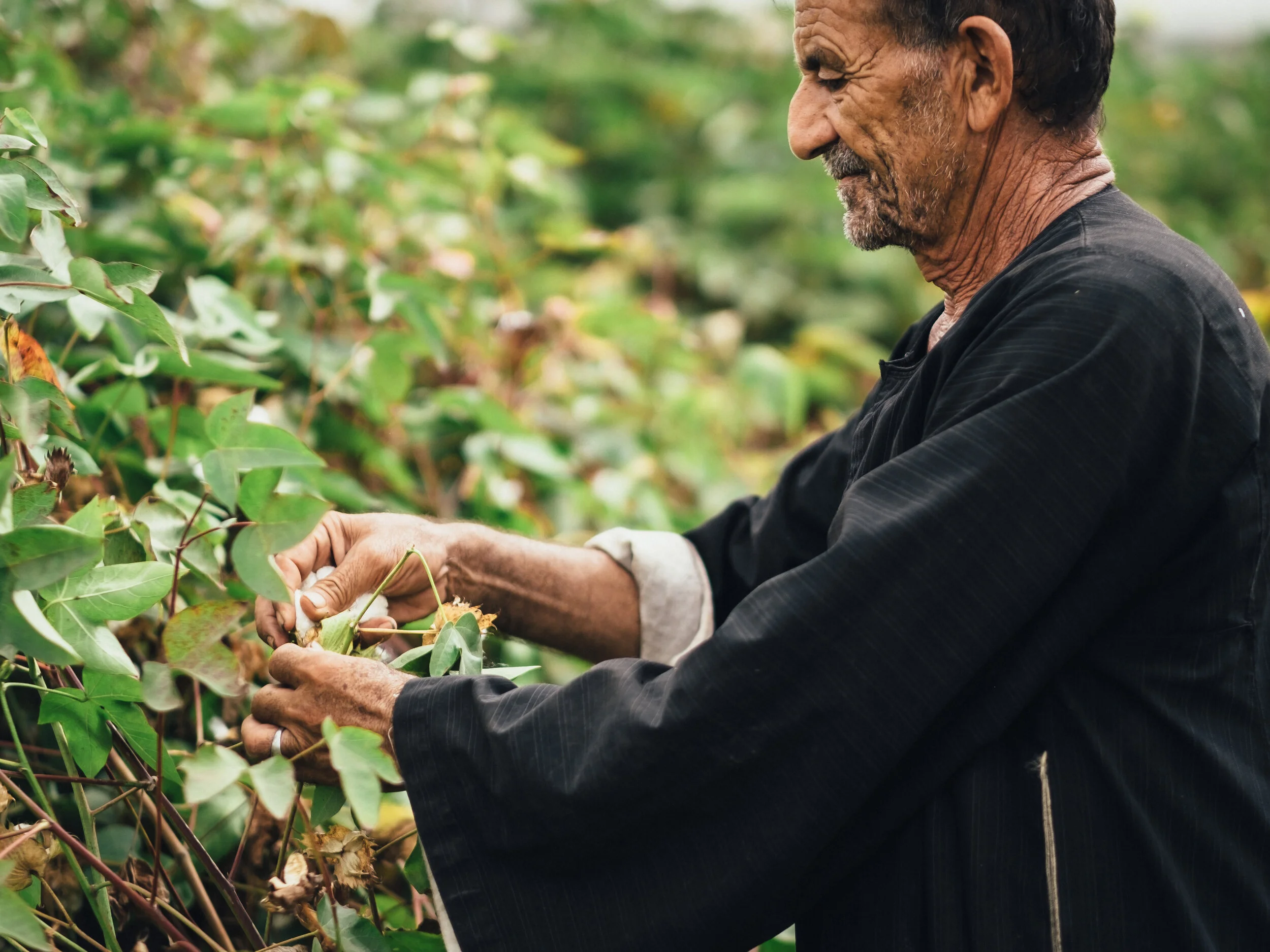 farmer_9x12.jpg