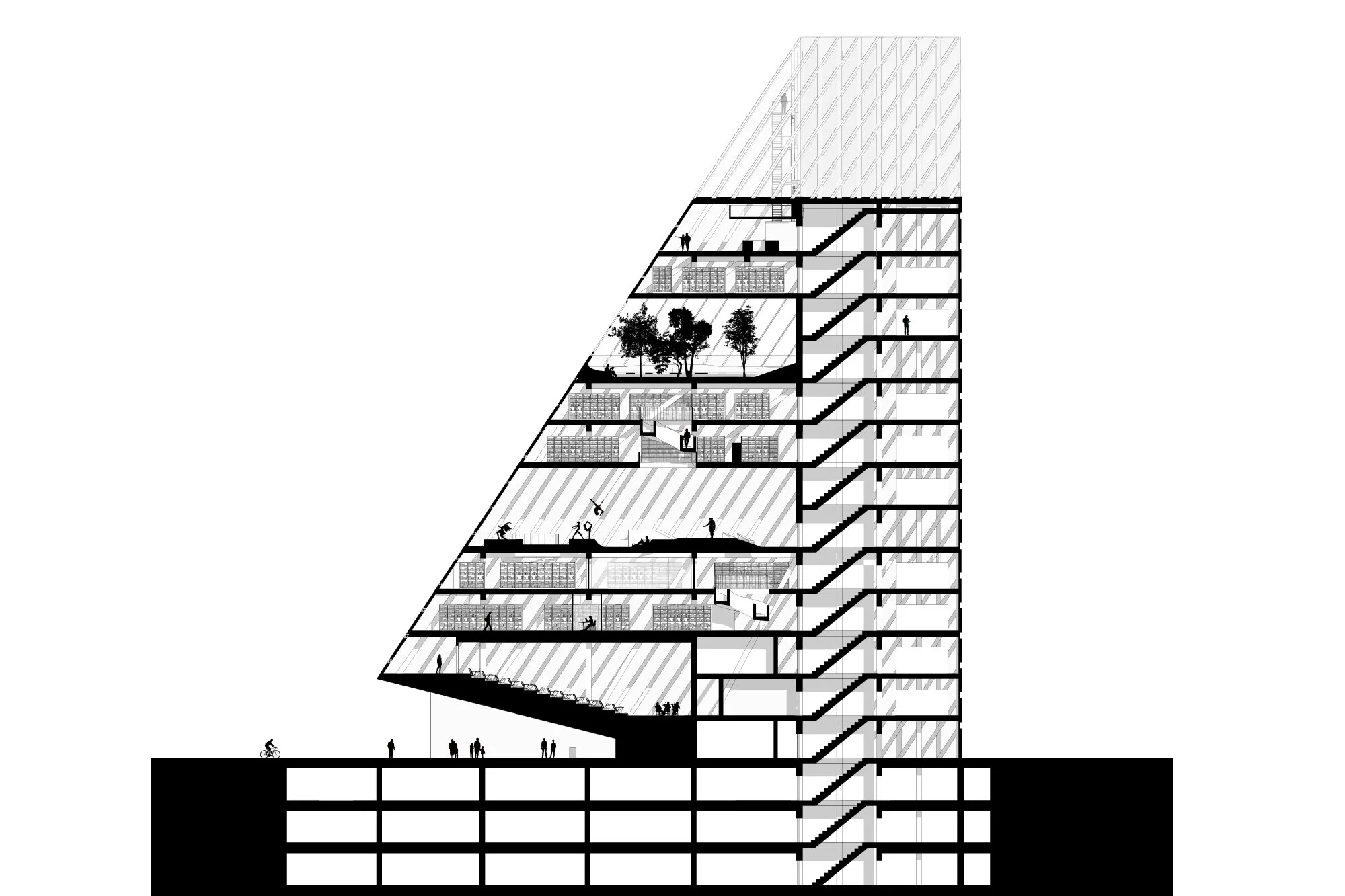 VARNA_Section+1.jpg
