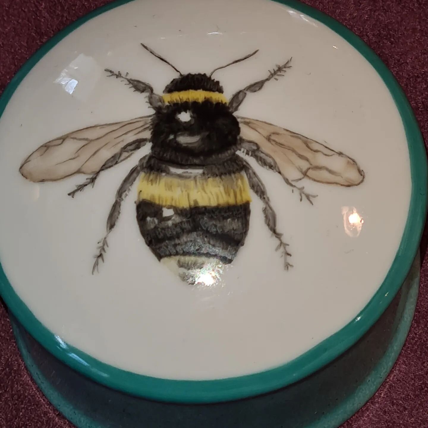 Decopaint.de#Porzellanmalerei#
Biene#Dose aus Porzellan 
Hamburg#Insekten