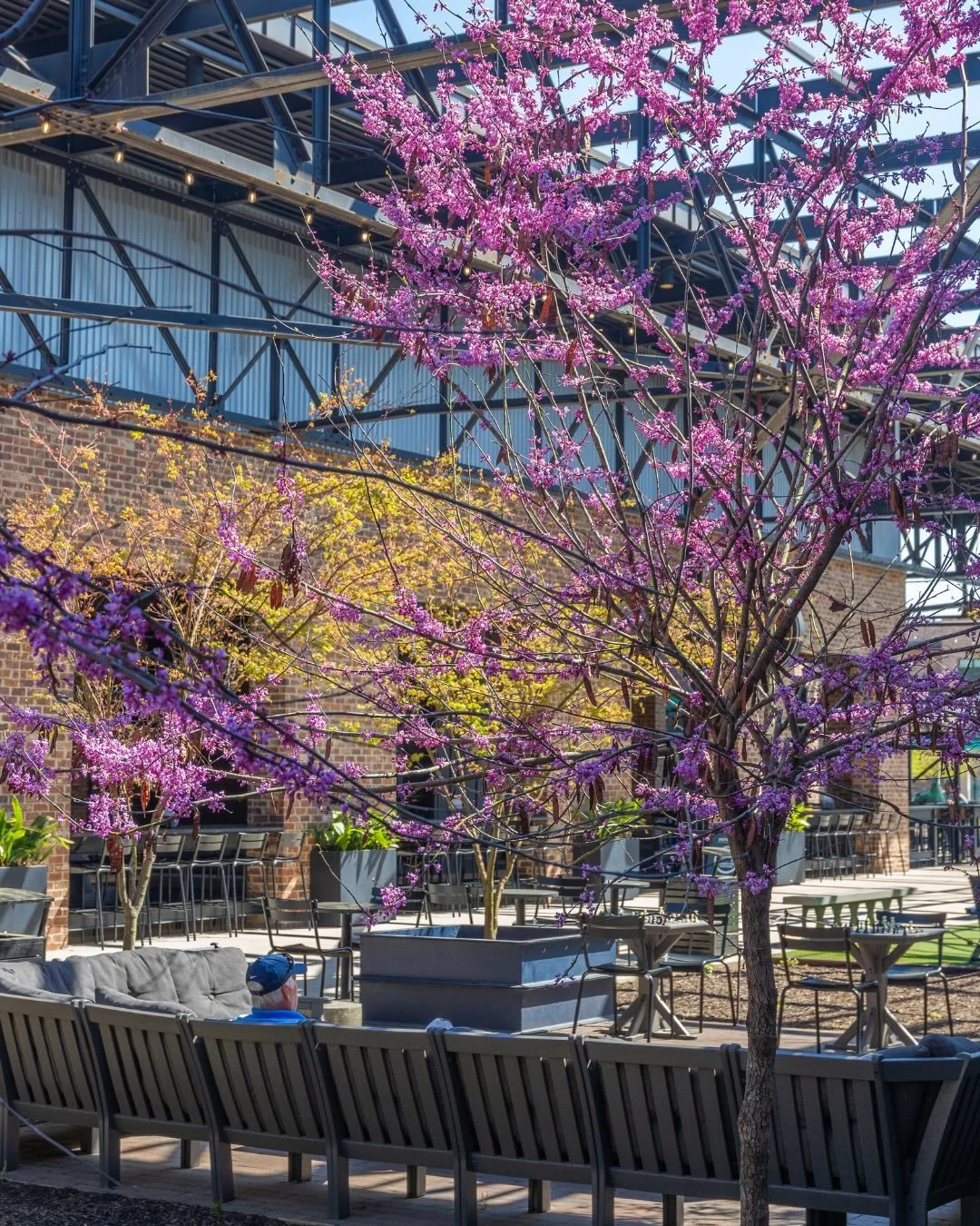 SPRING INTO THE WEEKEND AT WIRE PARK! 

FRIDAY:

Join us for Movie in the Park where we will be watching High School Musical on The Pavilion Screen. The movie will begin at 6:30pm, so please be sure to get here early, and bring your own chair!

Stop 