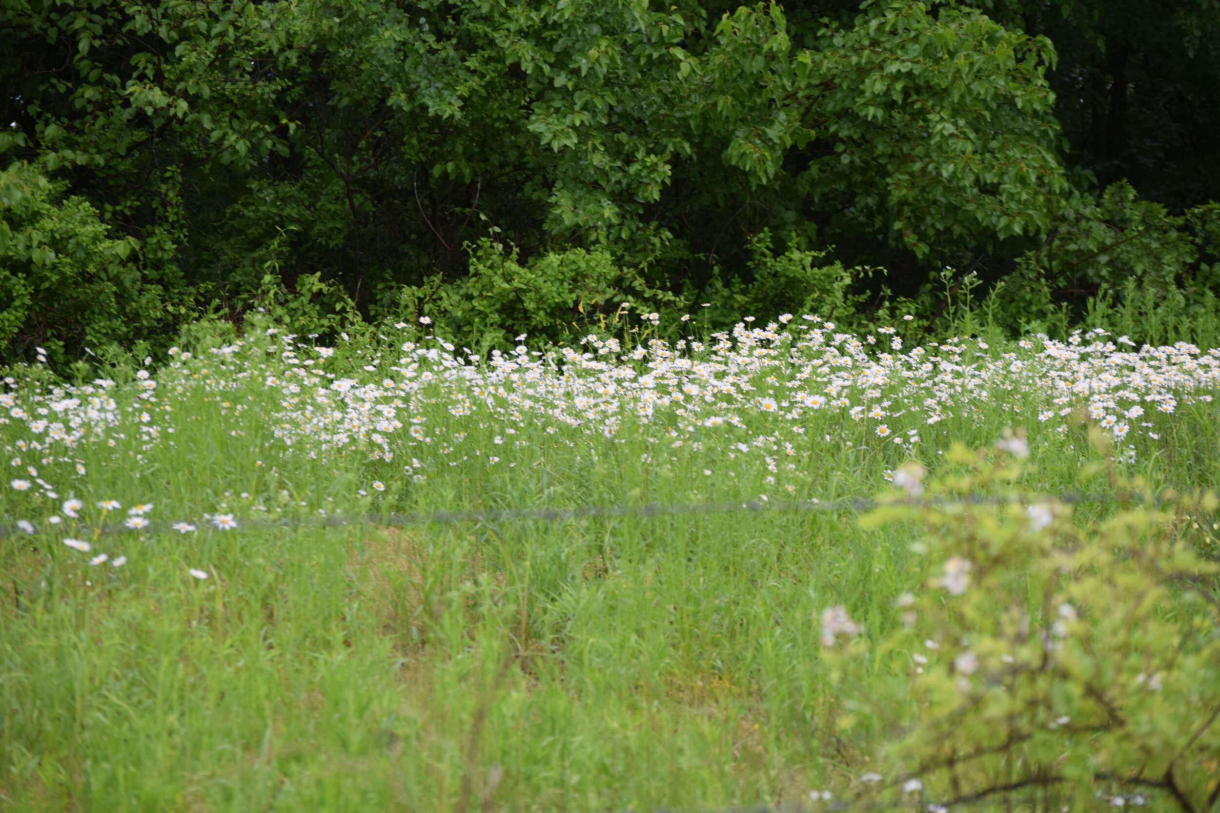 AdobeStock_269099846 - Insurance.jpeg