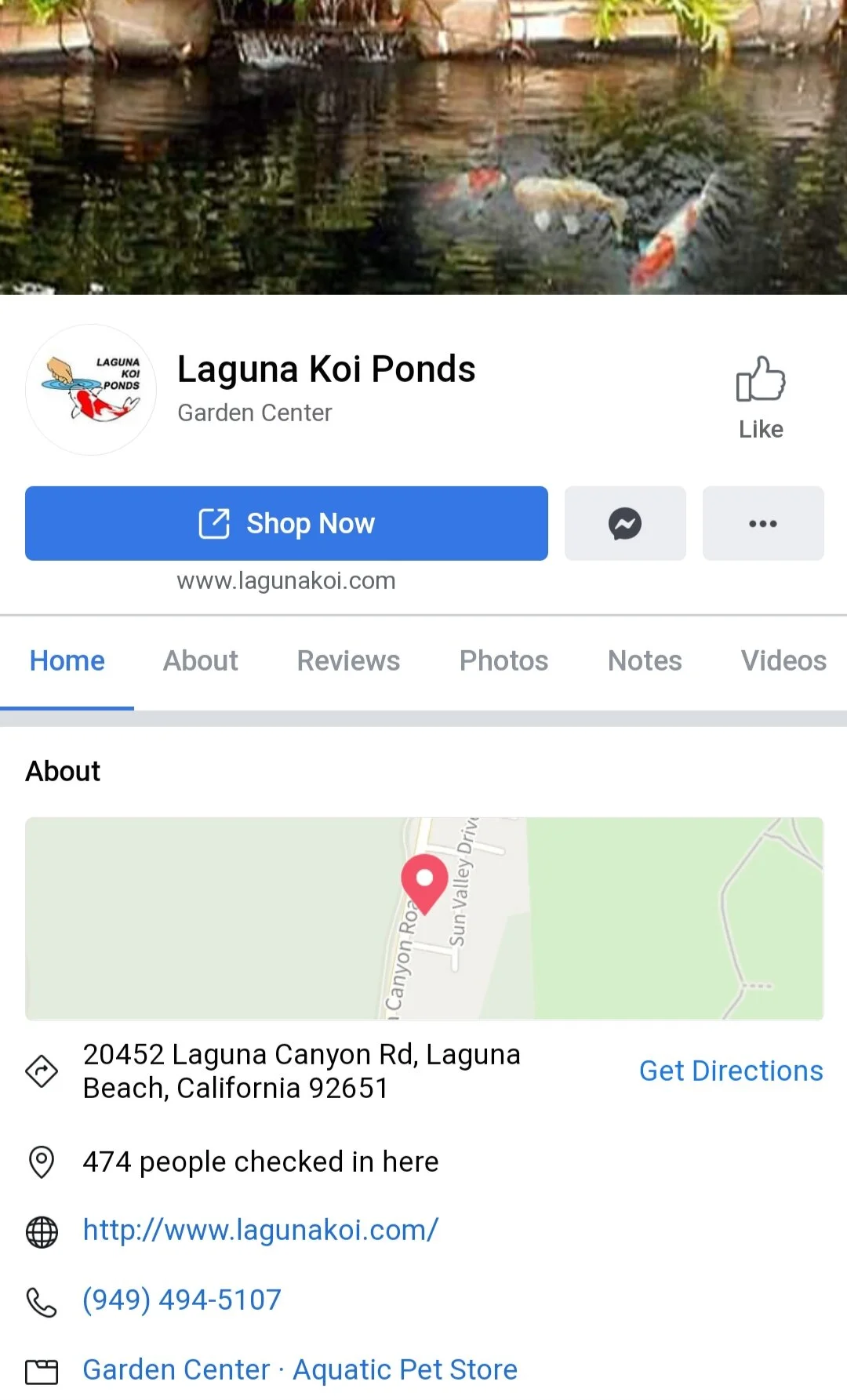 koi pond store