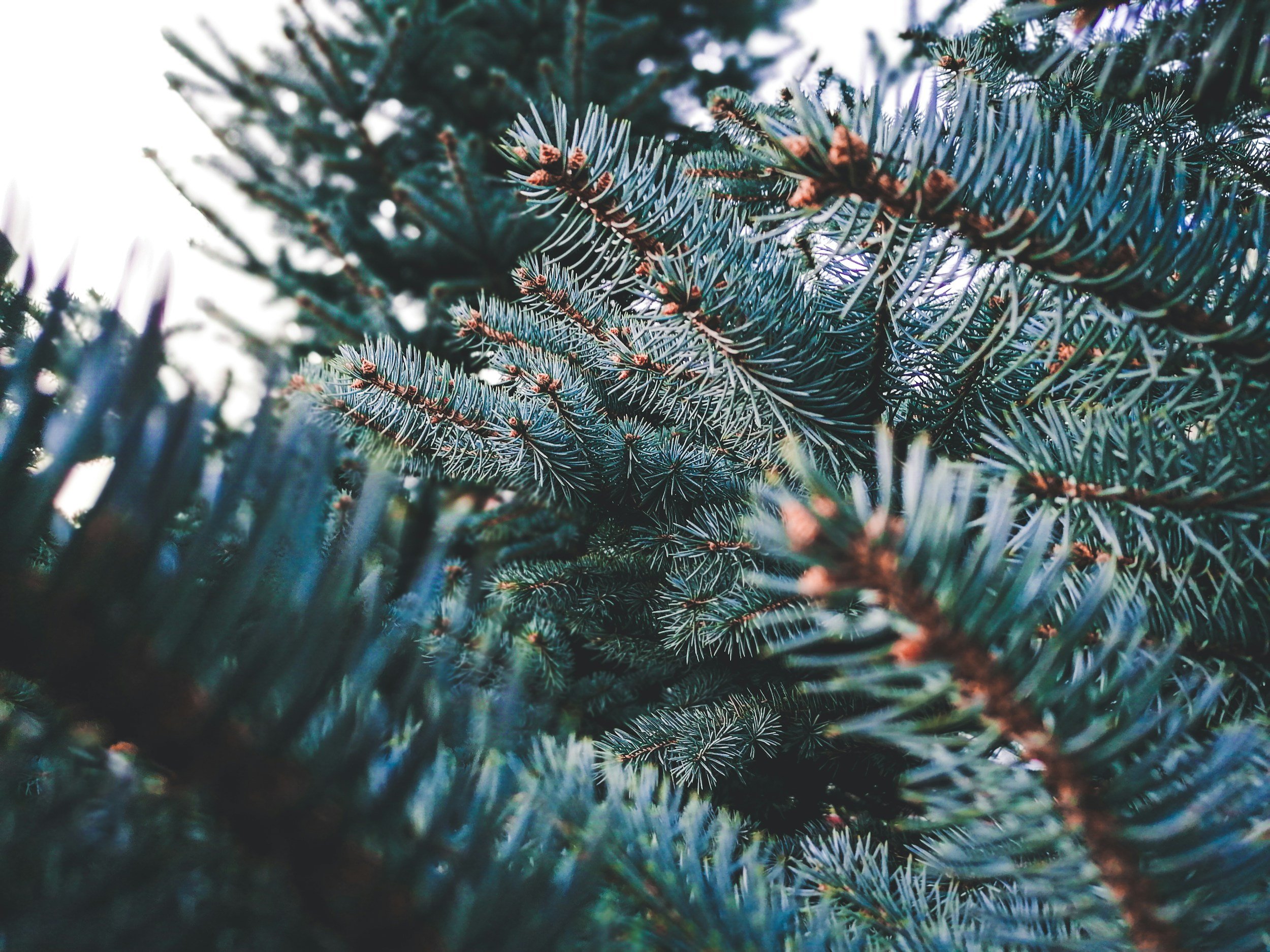 Advent Day Apart Retreat