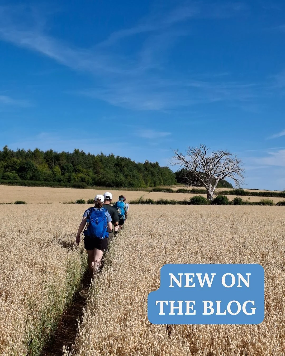 Continuing our fall theme of movement &amp; soul care, we offer a special inside look at a spiritual practice that fully embodies this: the pilgrimage. 

On a recent pilgrimage in England led by herself &amp; her daughter, Bobbie, found herself soake