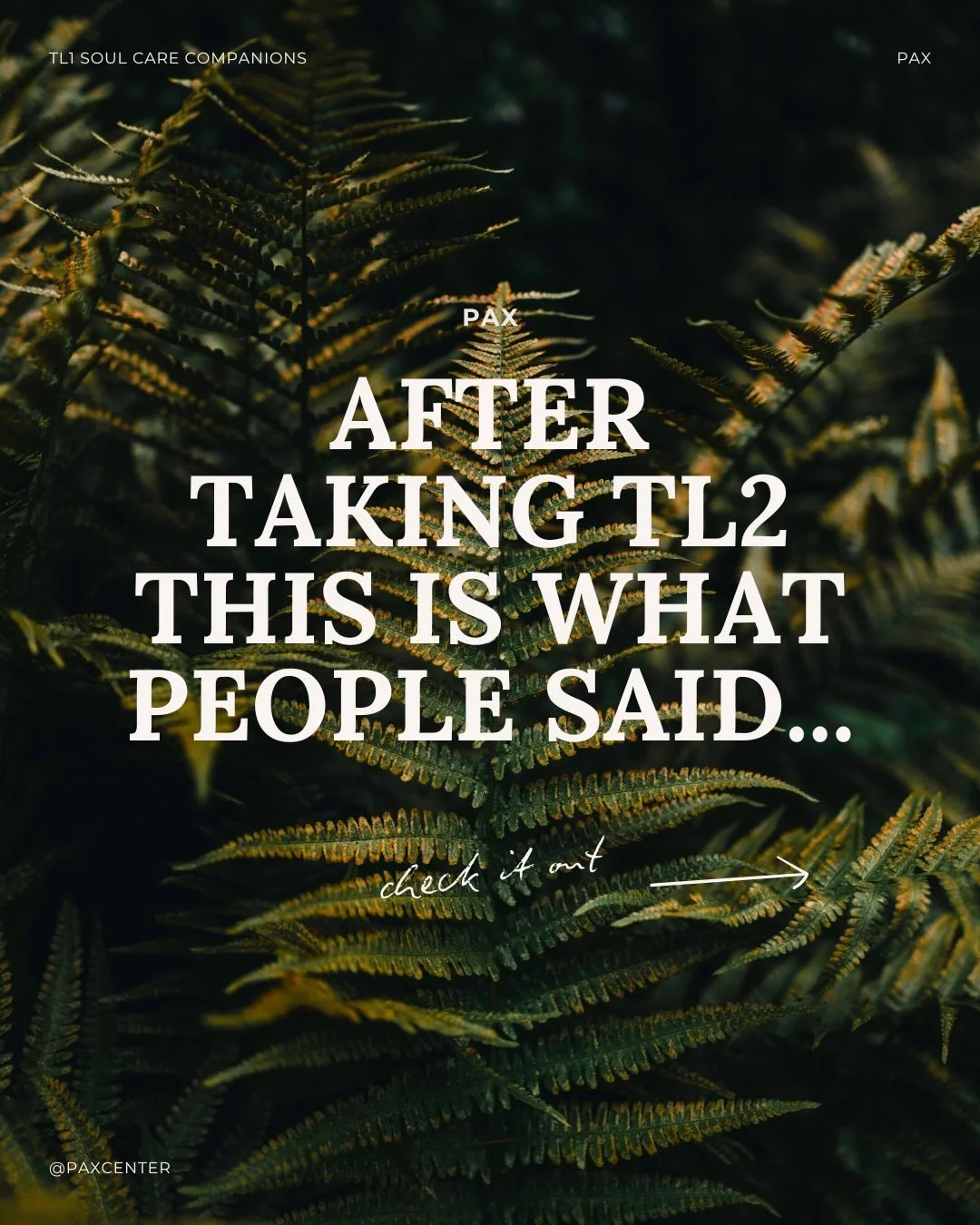 TL2 is our certificate year in our training program for Christian spiritual directors! 

Here is what some of last year&rsquo;s crew had to share upon completing the course ☺️

TL1 grads, now is the time to reserve your spot in the upcoming cohort &a