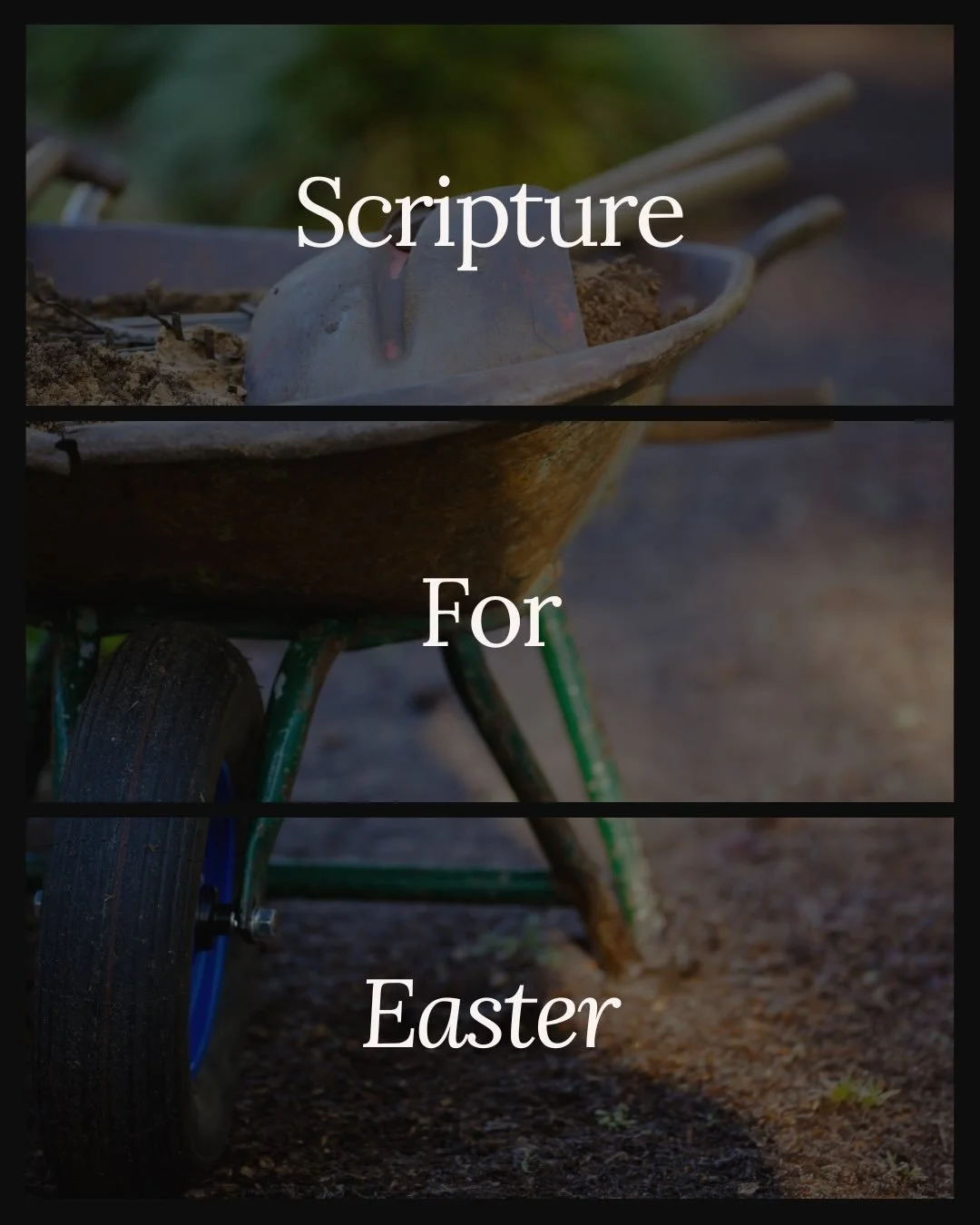 John 20:11-18

He is Risen!

He is Risen Indeed!

Happy Easter everyone ☺️