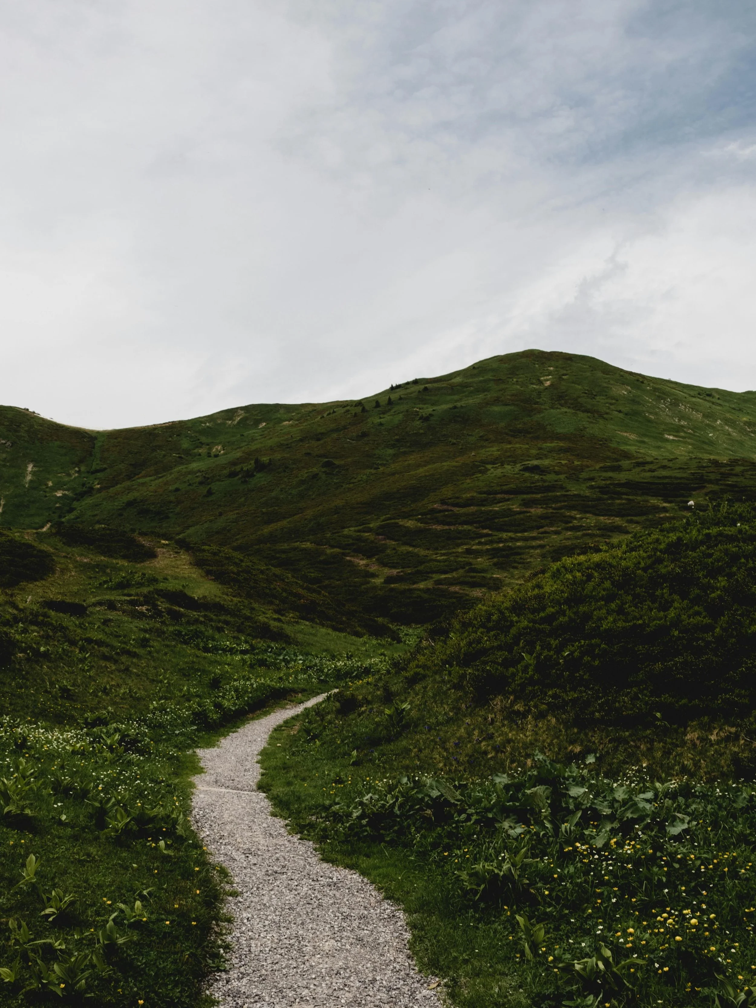 We&rsquo;ve made a change&hellip;did you catch it?

The new cover image for our Certificate in Christian Spiritual Formation reflects that our life with God is often found not only in the mountaintops or valleys, but in &ldquo;the walking in between.