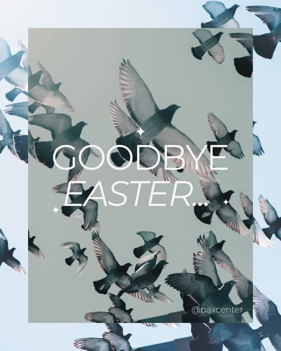 What does fire, courage, public speaking, and the Holy Spirit all have in common?

The start of Pentecost on May 24th 🕊️

If you&rsquo;re wondering what welcoming this new season might look like, have ever struggled through a transition, or searched