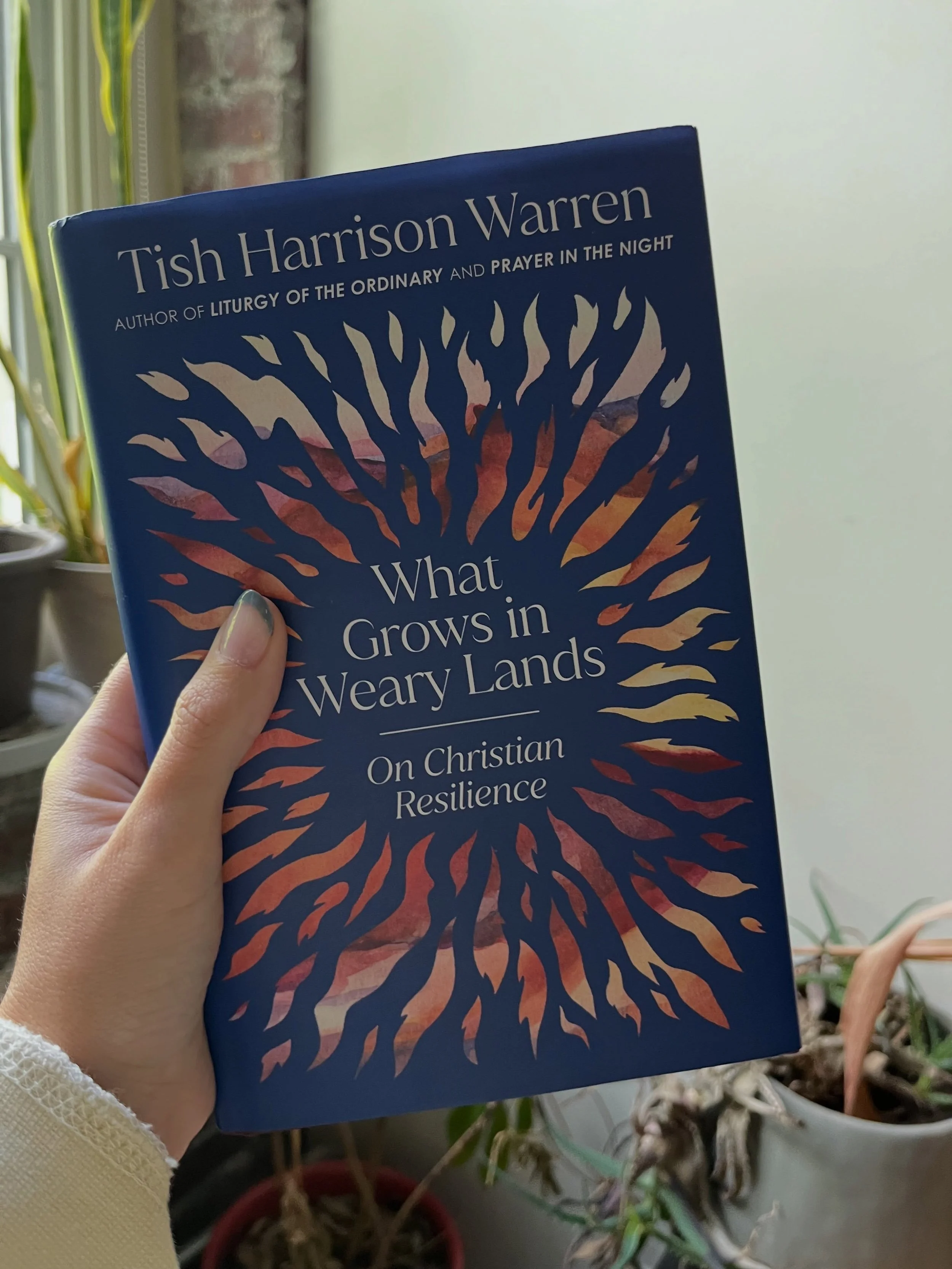 My plants may be in weary shape but your soul does not have to be!

Our fall book club read is @tishharrisonwarren newest book, What Grows in Weary Lands, and we can&rsquo;t wait to read it with you.

If you&rsquo;re craving a back to school feeling,