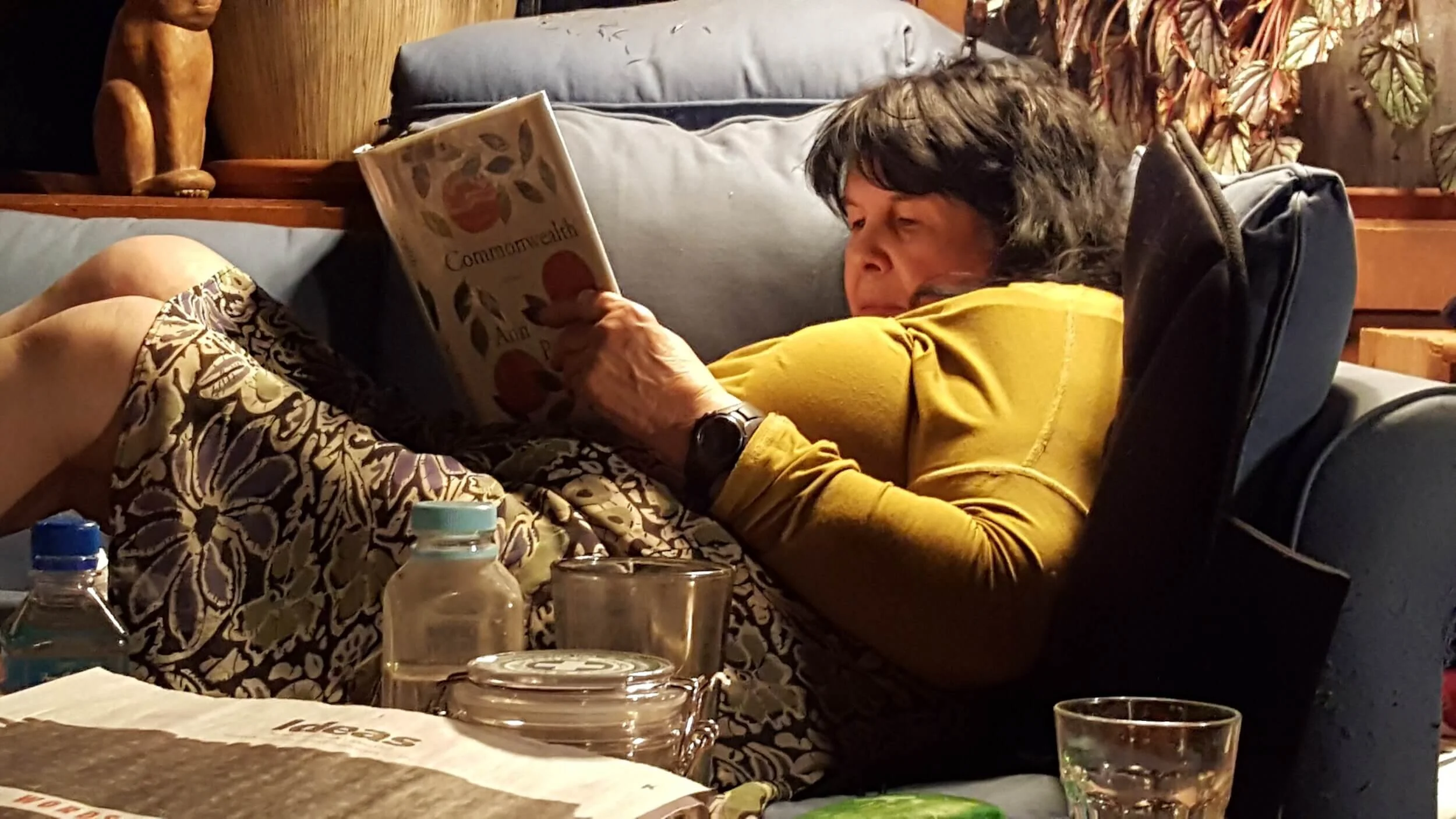 20180101piercyOnAWinterEveningAtHome copy.jpeg