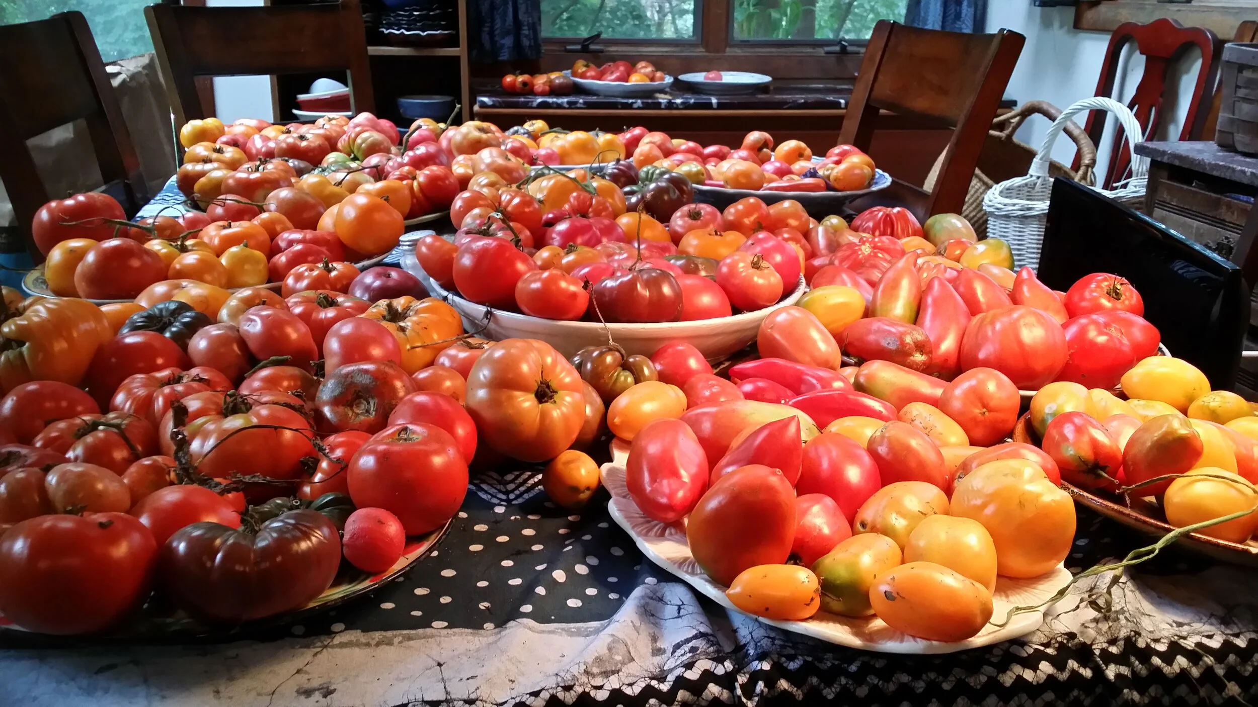 The August Avalanche