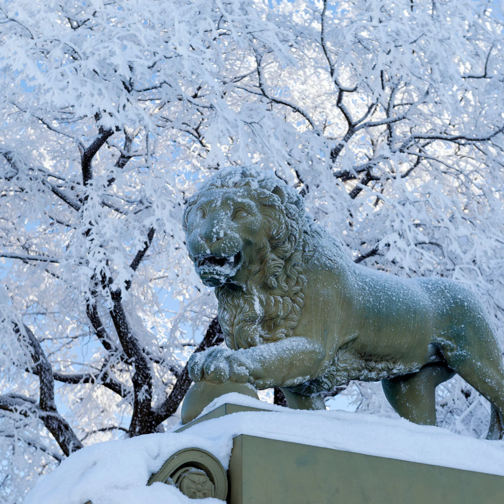 March Roars In With Frost In Its Beard
