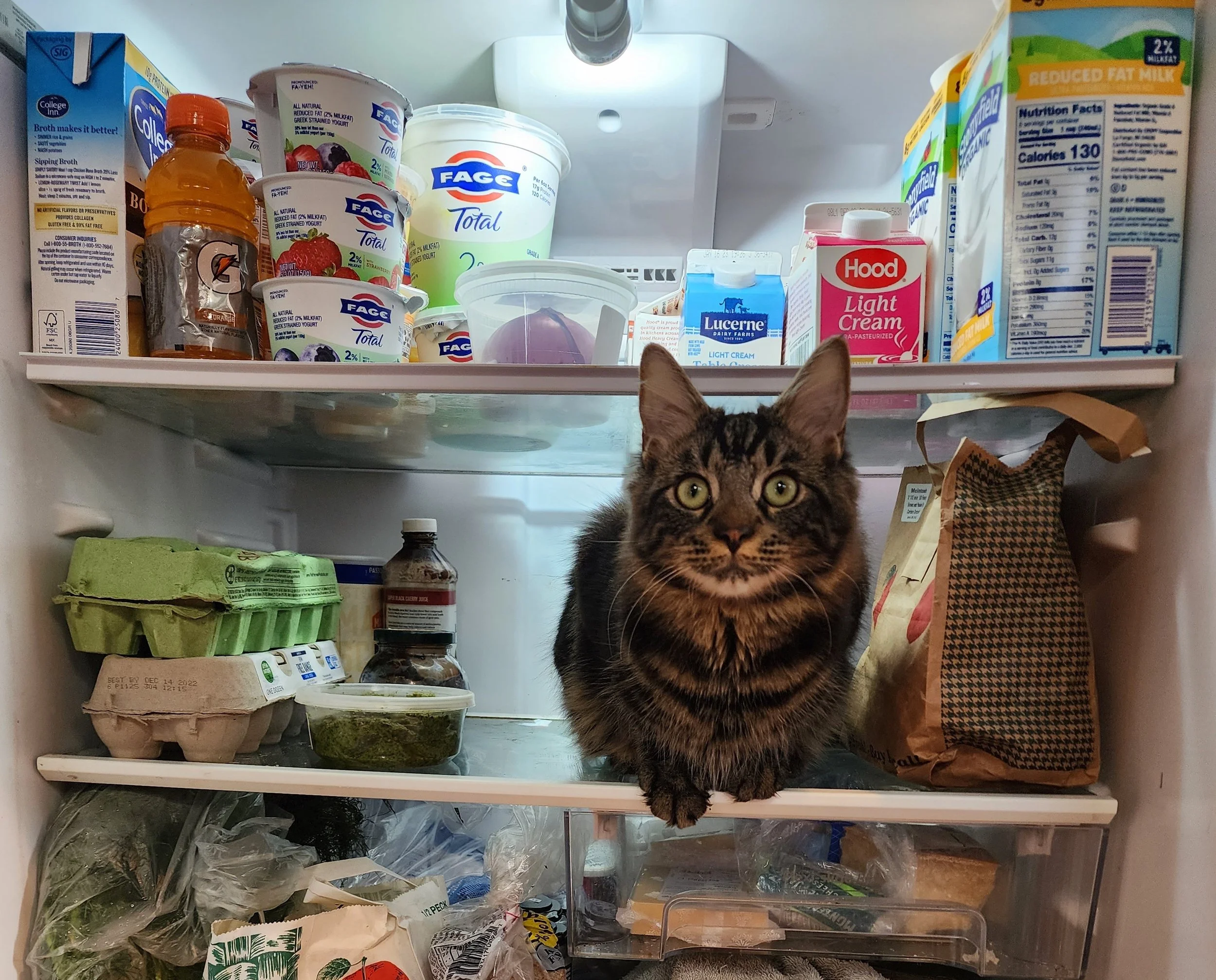 Thankful for Woody and Melenie