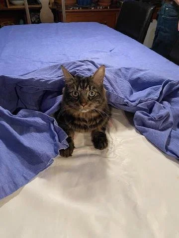 A Wonderful Thanksgiving