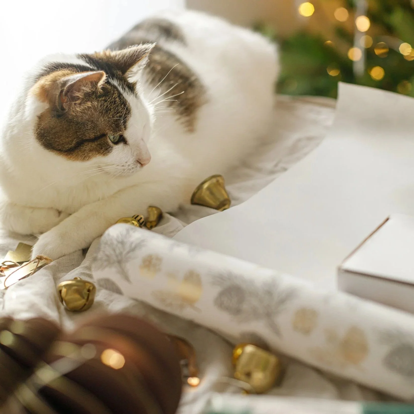 Wrapping