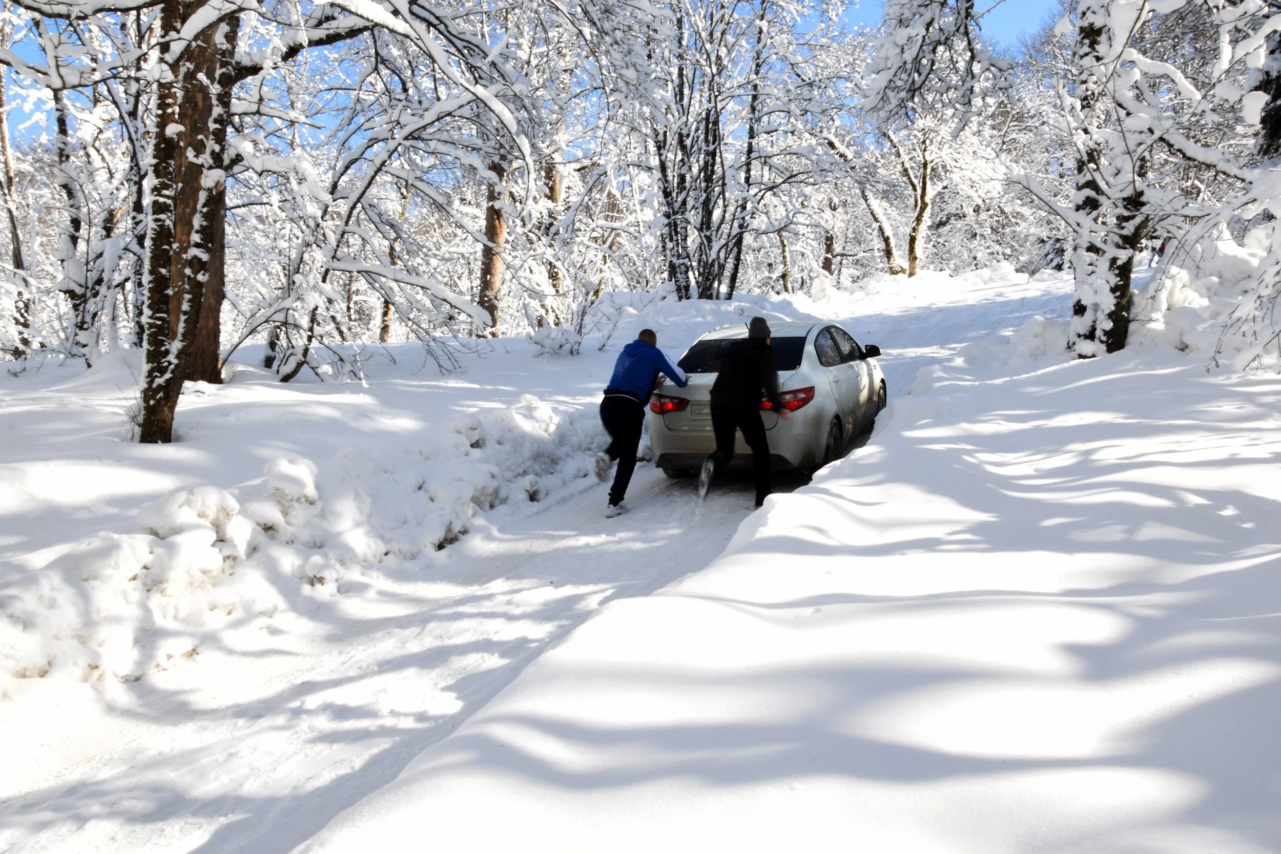 A Week From (Frozen) Hell