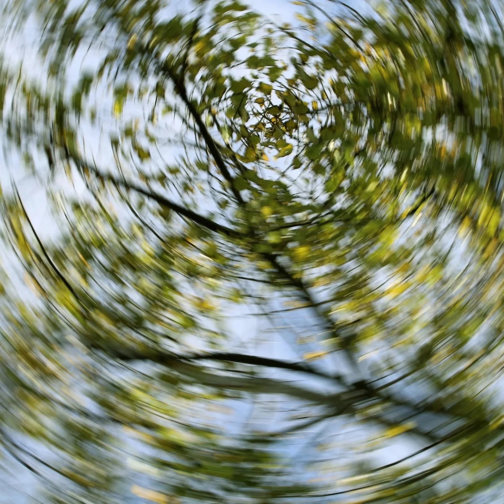 Memory and Dizziness