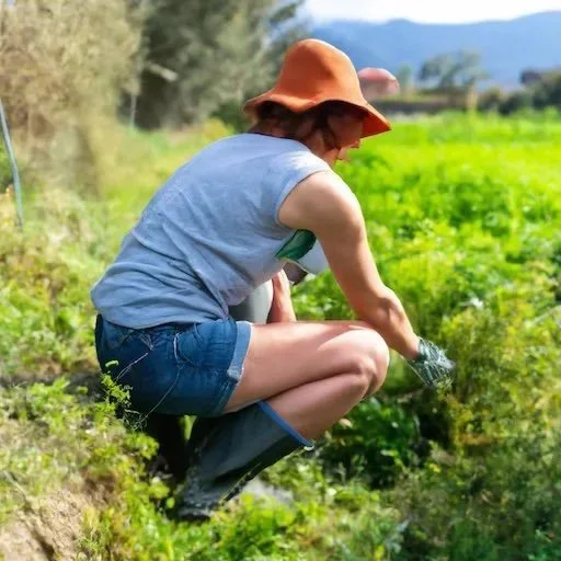 Poet and Farmwife
