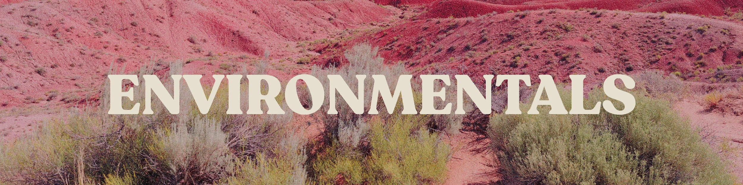 enviromentals-03.jpg