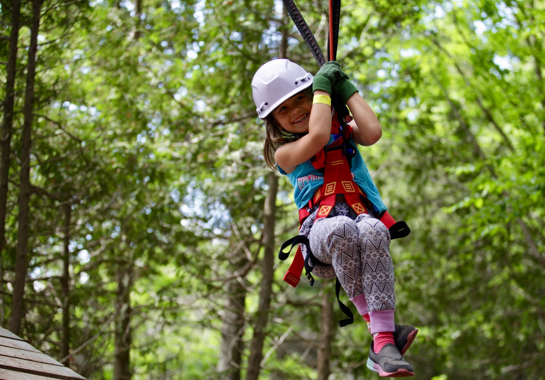 KID-APPROVED - CAVES, SURF, TREASURE AND…TREETOPS!