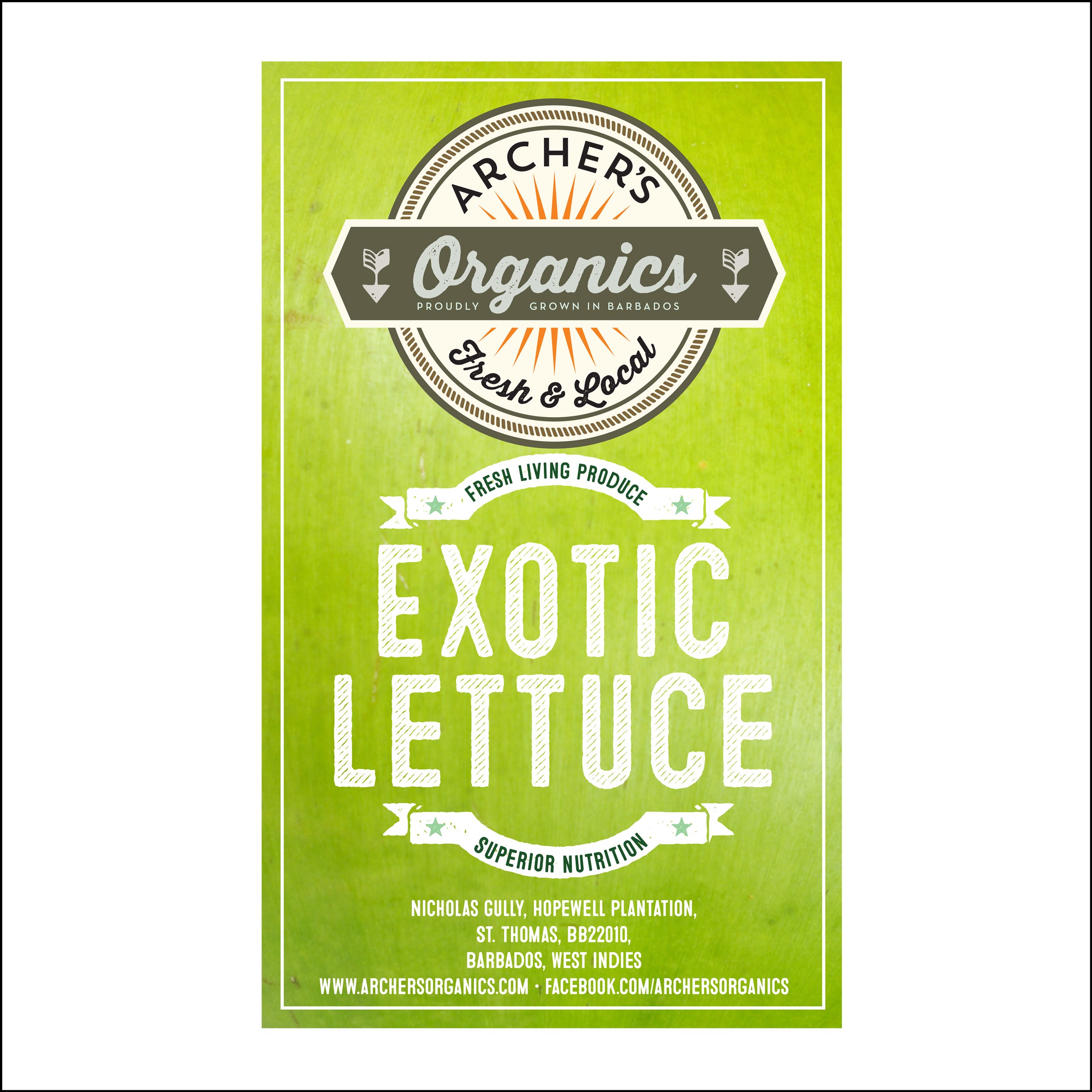 AO-Lettuce.jpg