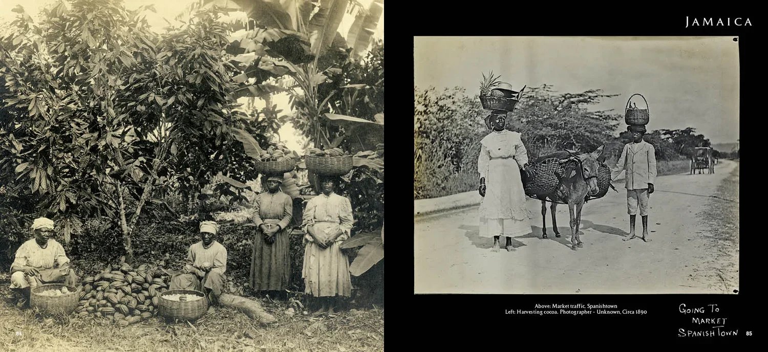 Circa+West+Indies_Jamaica.jpg.webp