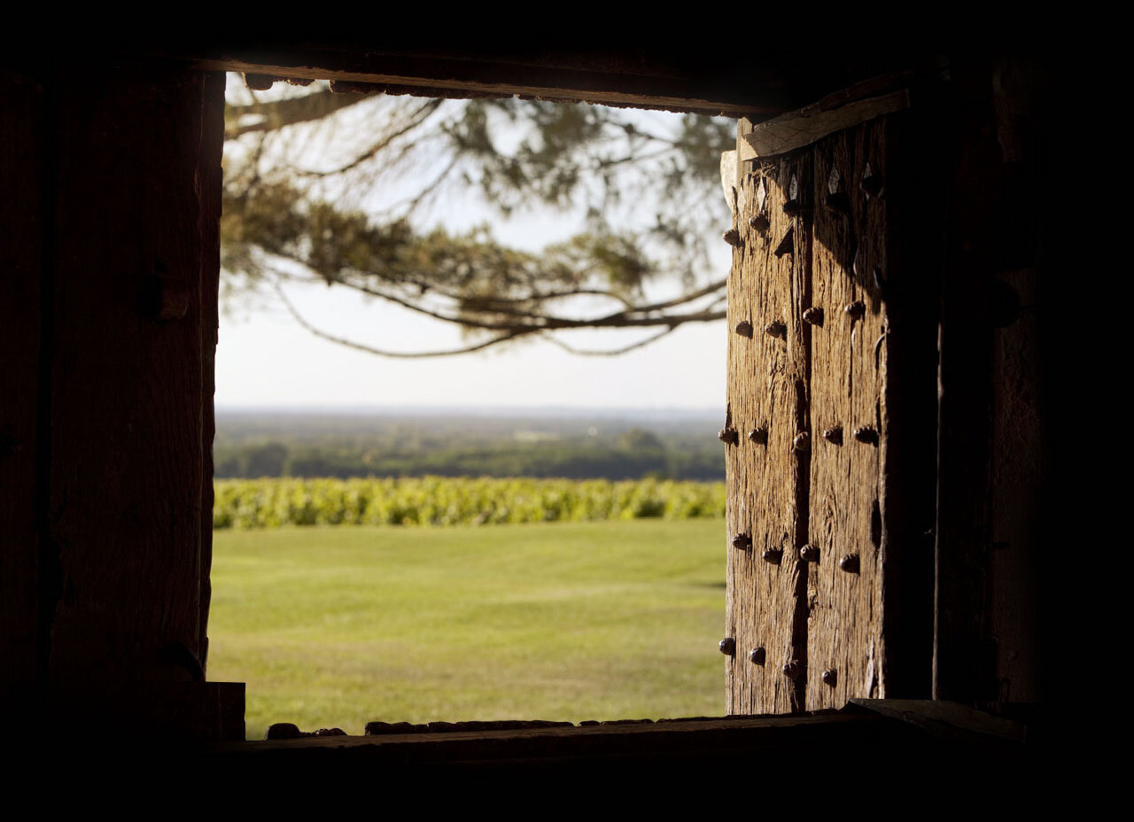 Château d'Yquem 3.jpg