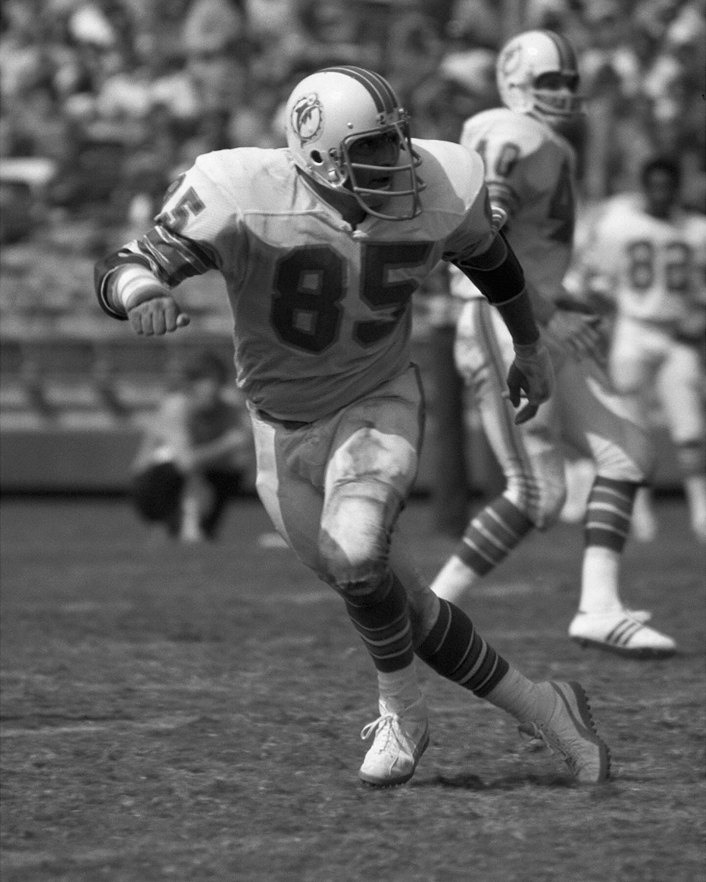 Nick Buoniconti, Miami Dolphins  