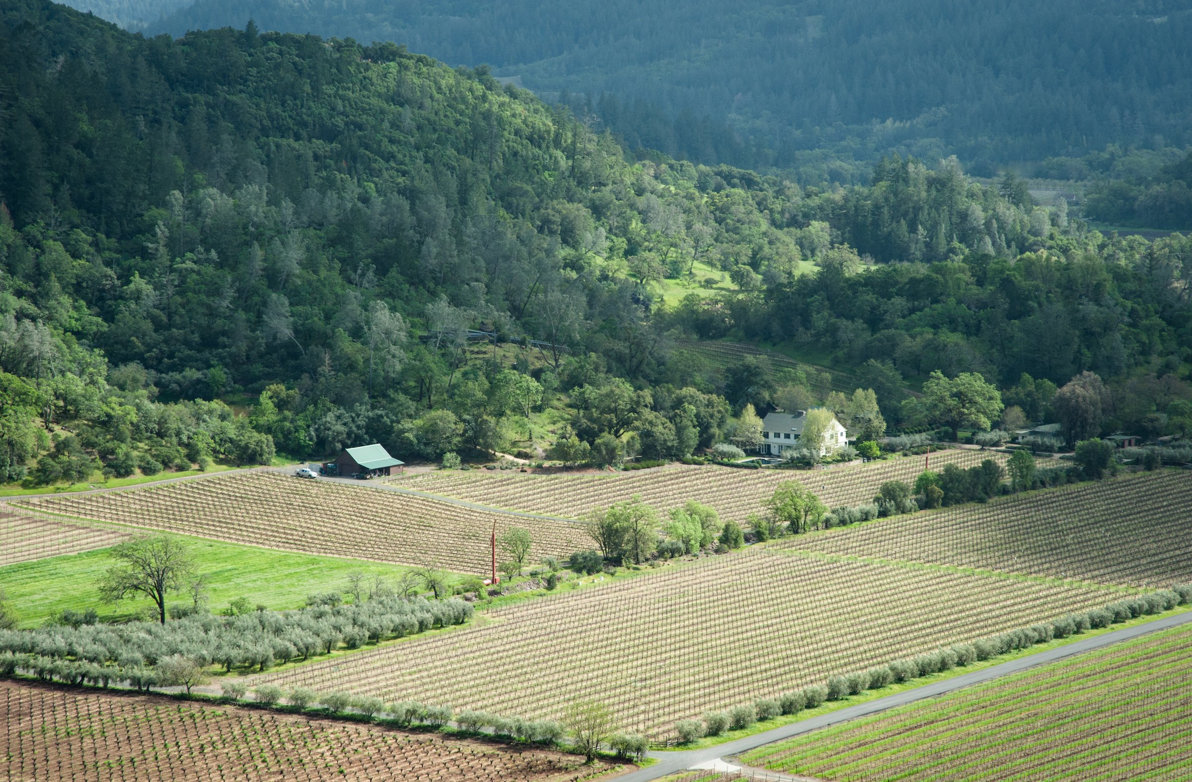 Aerial View Eisele Vineyard copy.jpg