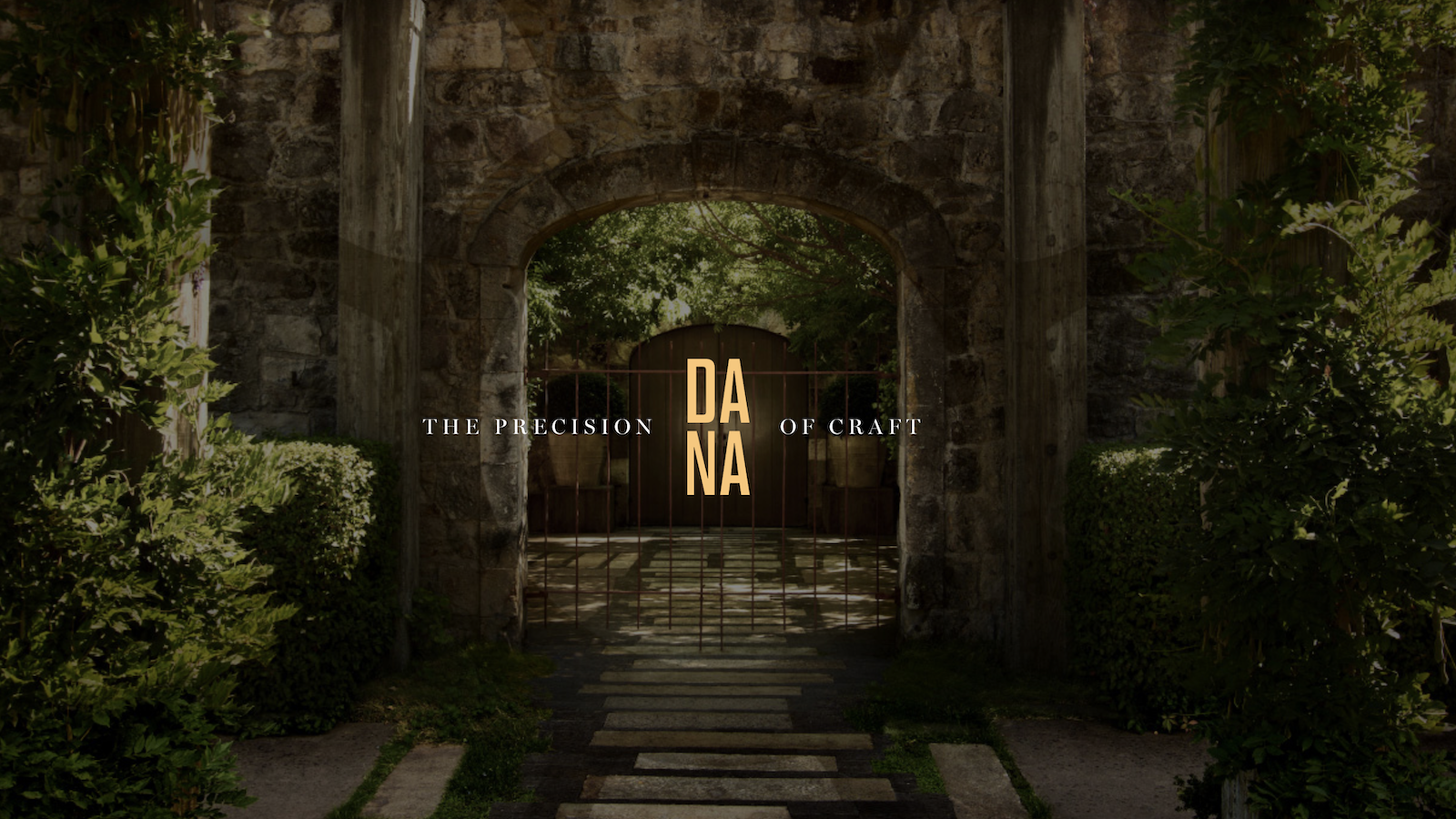 DANA 2.png