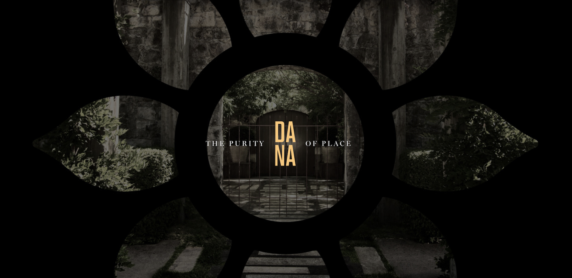 Dana 4.png