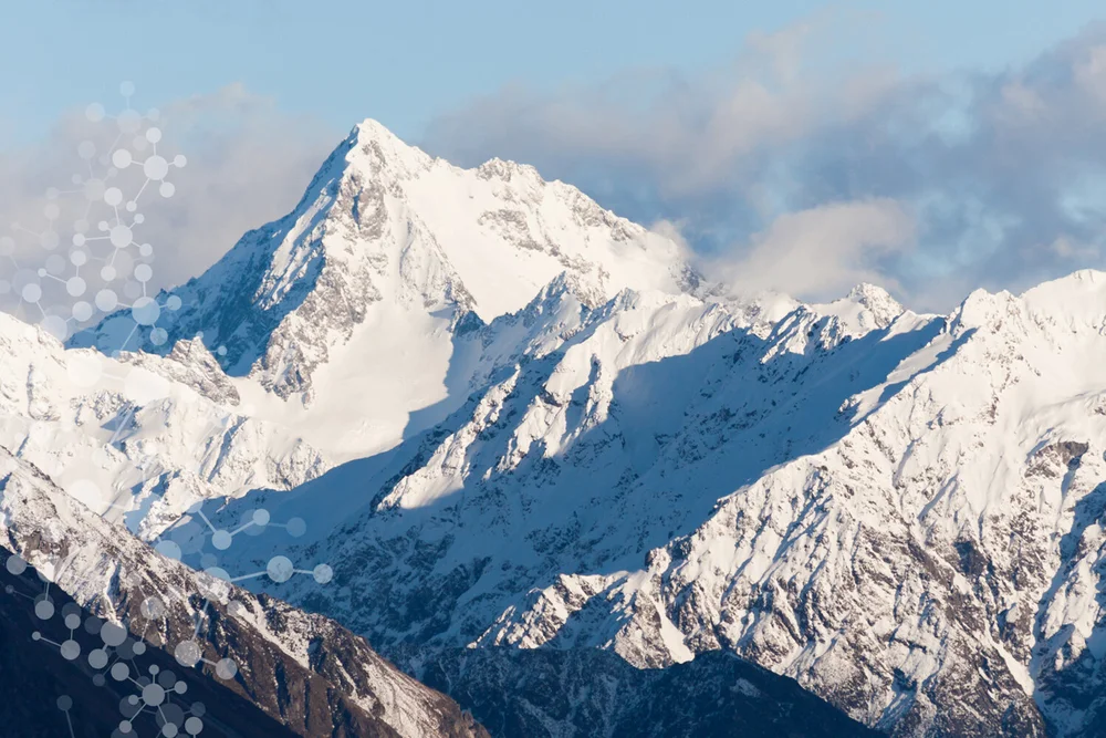 kendons-chartered-accountants-business-advisors-christchurch