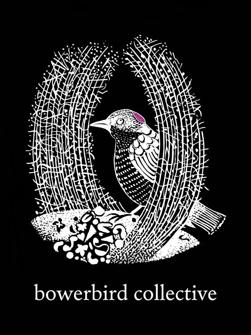 The Bowerbird Collective Conert