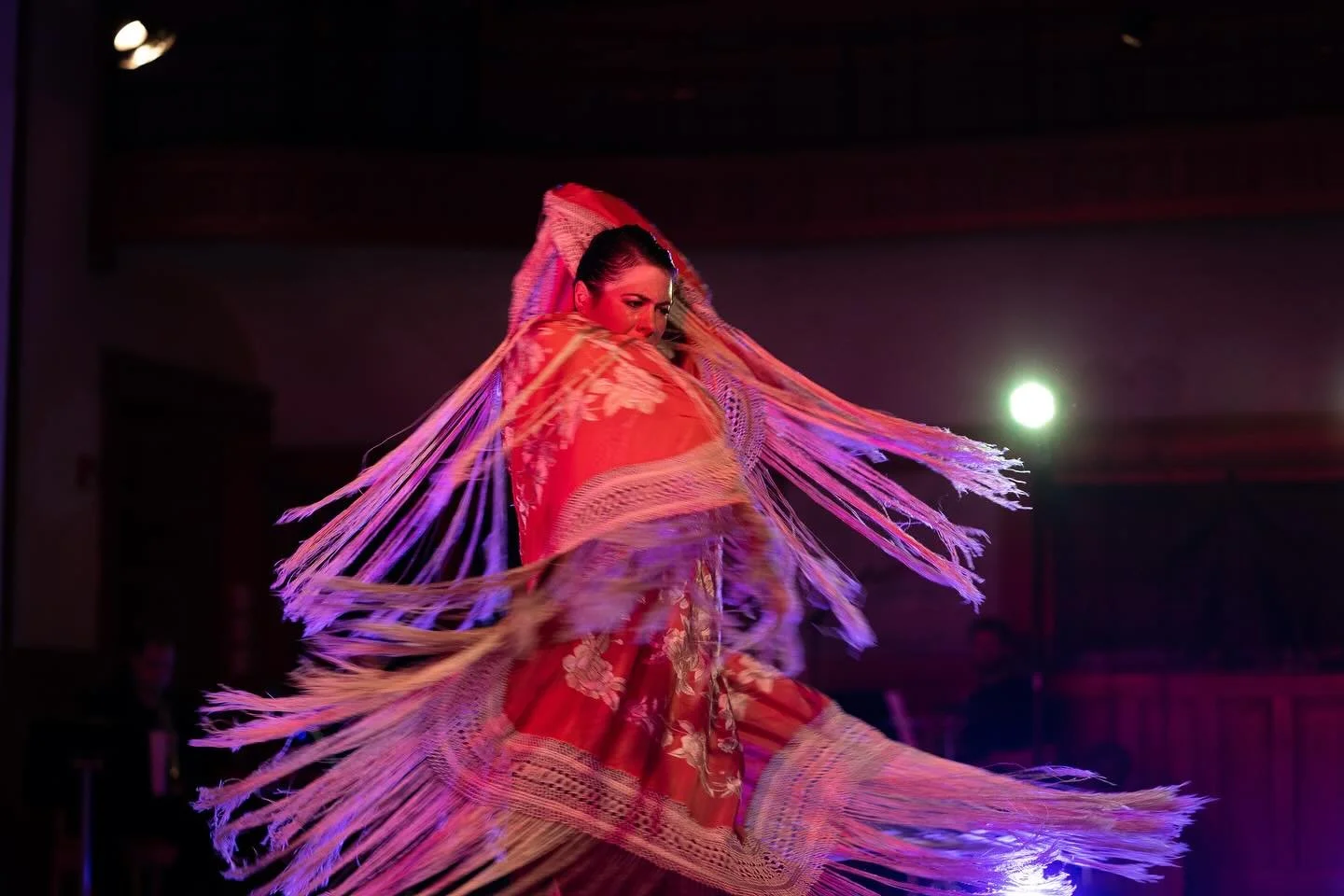 Temo Flamenco Dance Intensive
