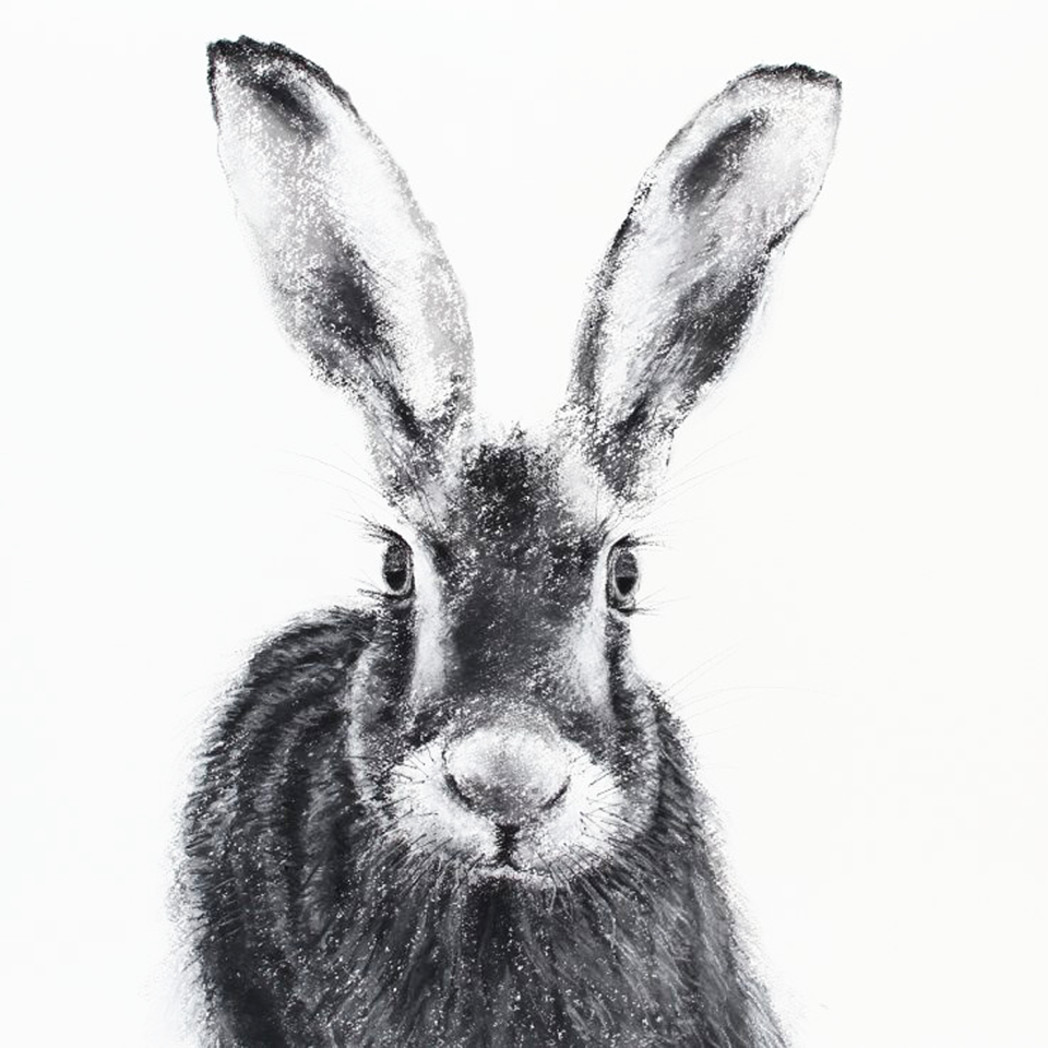 Hare 25, Charcoal, Jill Meager